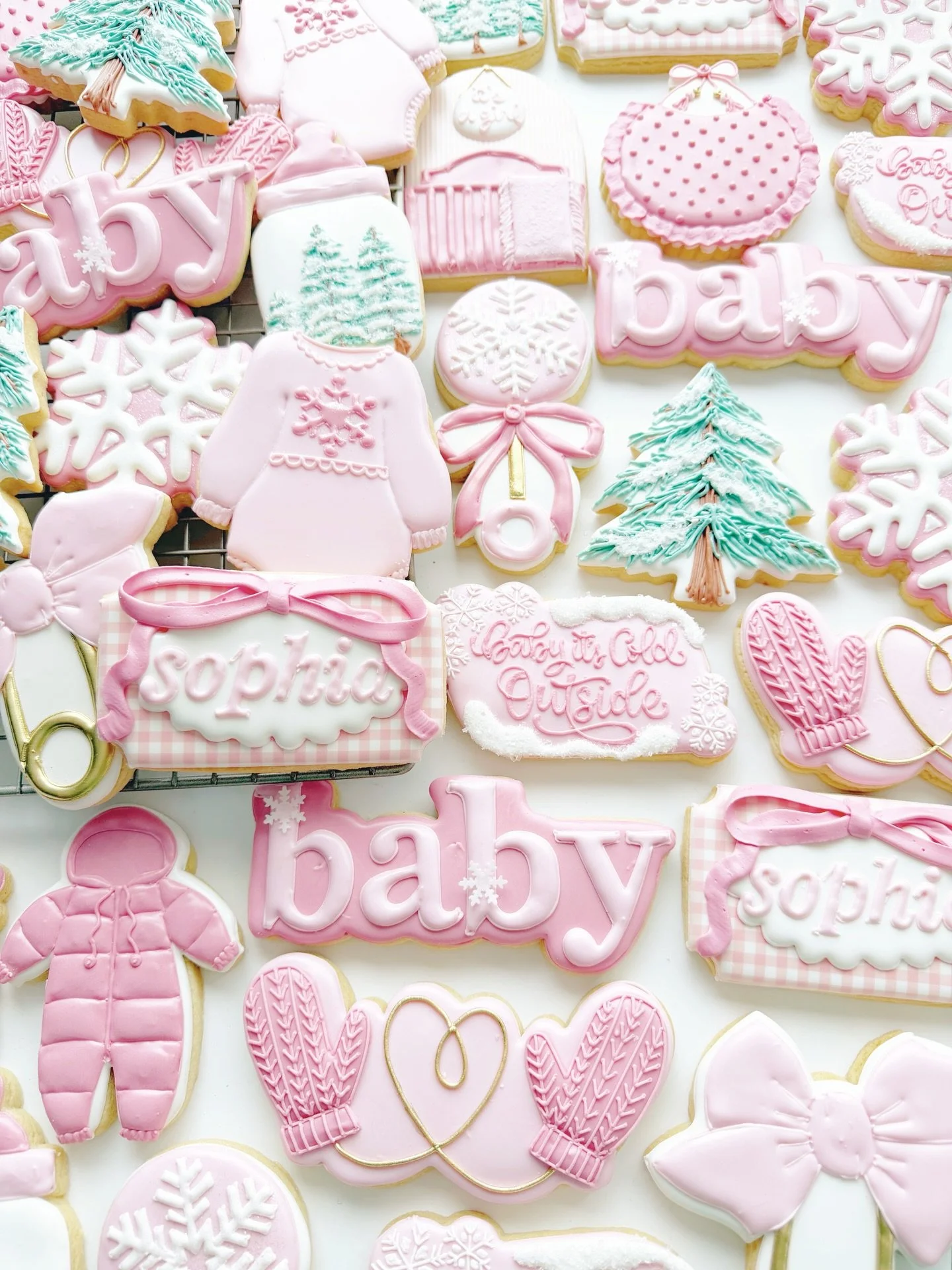 ❄️Baby it&rsquo;s cold outside❄️ 

#babyitscoldoutsidecookies #babyitscoldoutside #babyshower #babyshowercookies
