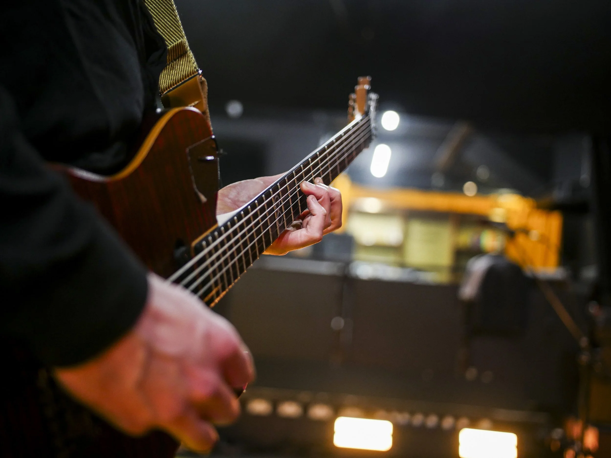 Tigercub KOKO Photos-26.jpeg