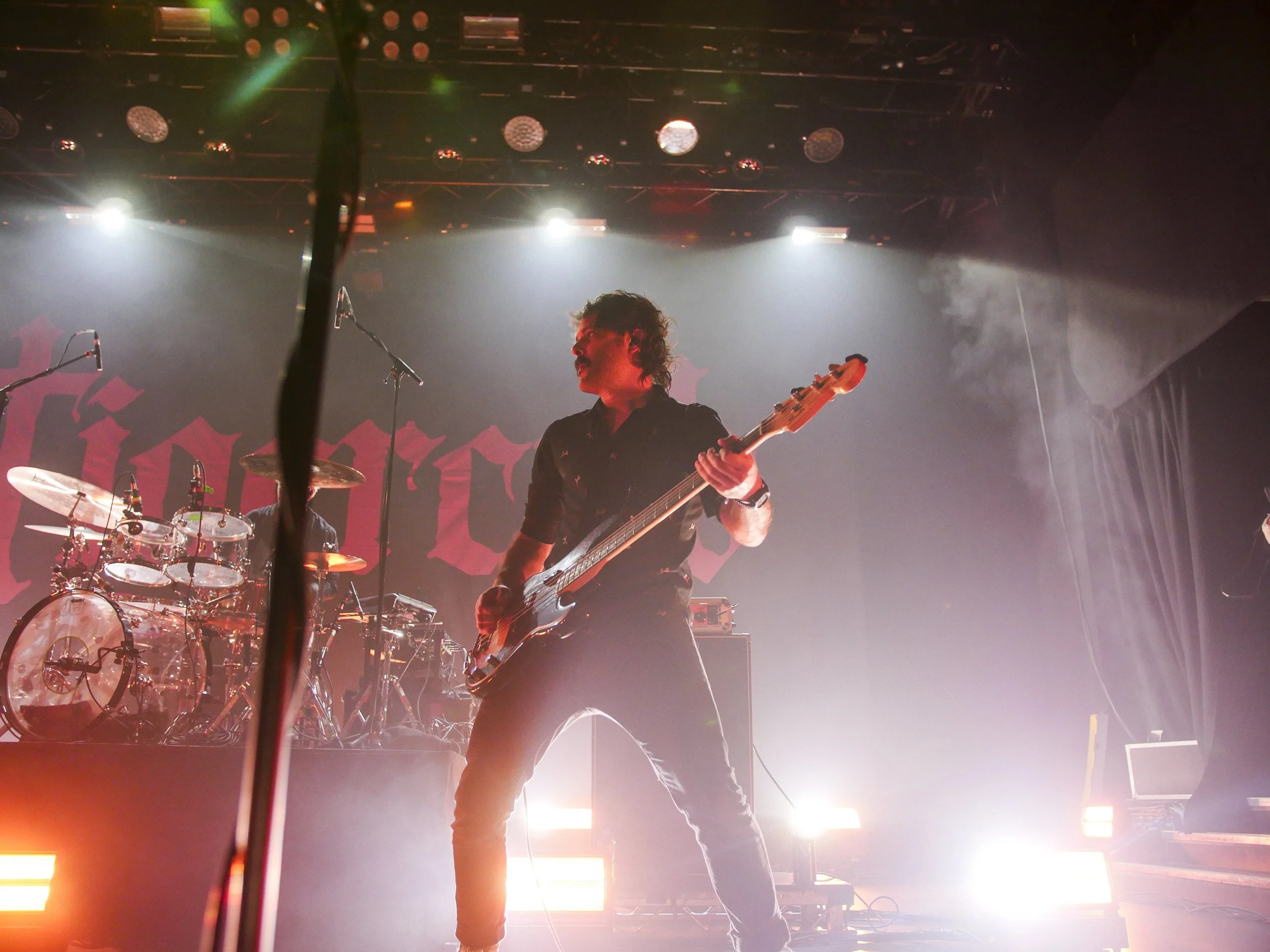 Tigercub KOKO Photos-9.jpeg