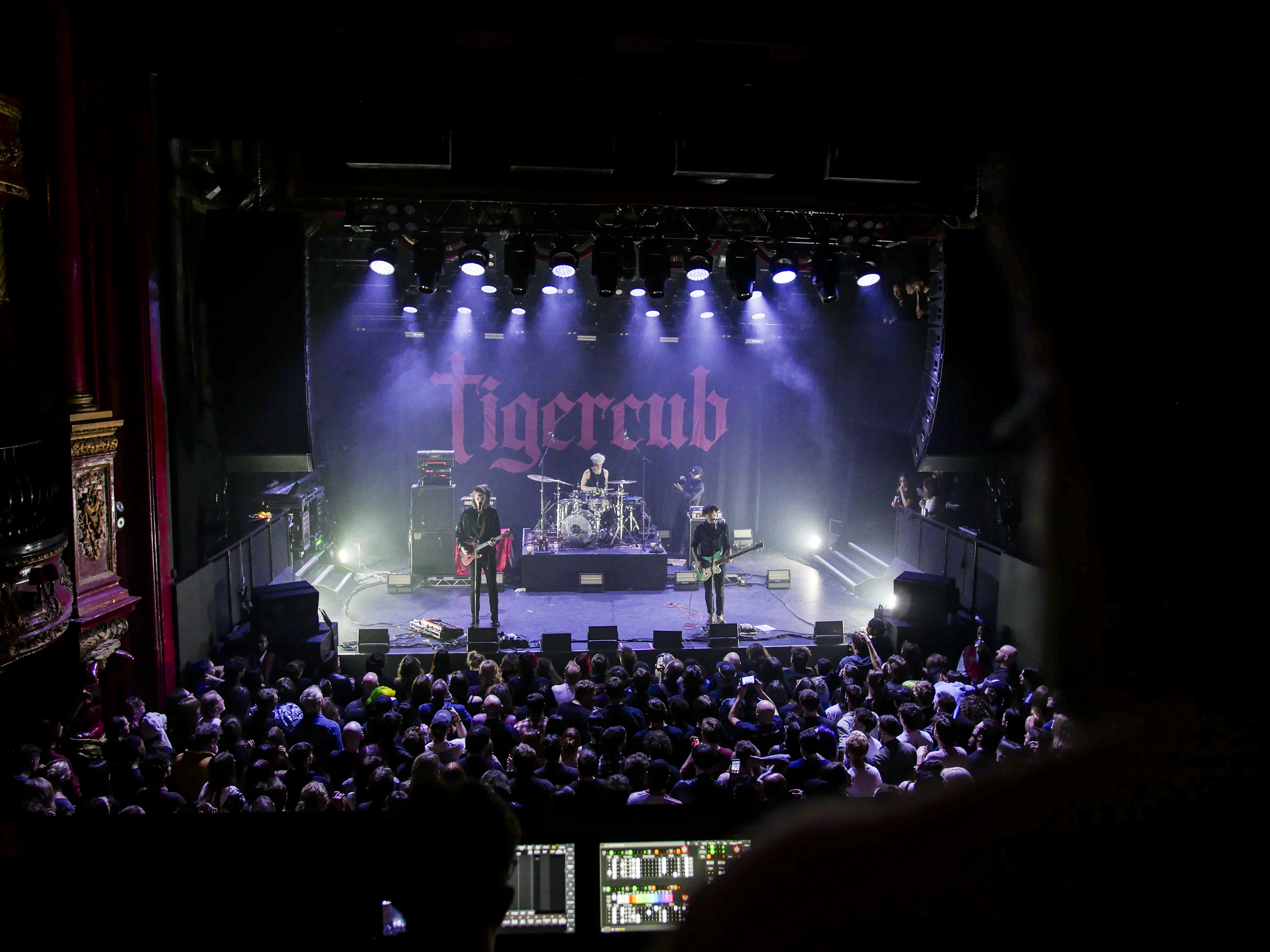 Tigercub KOKO Photos-1.png