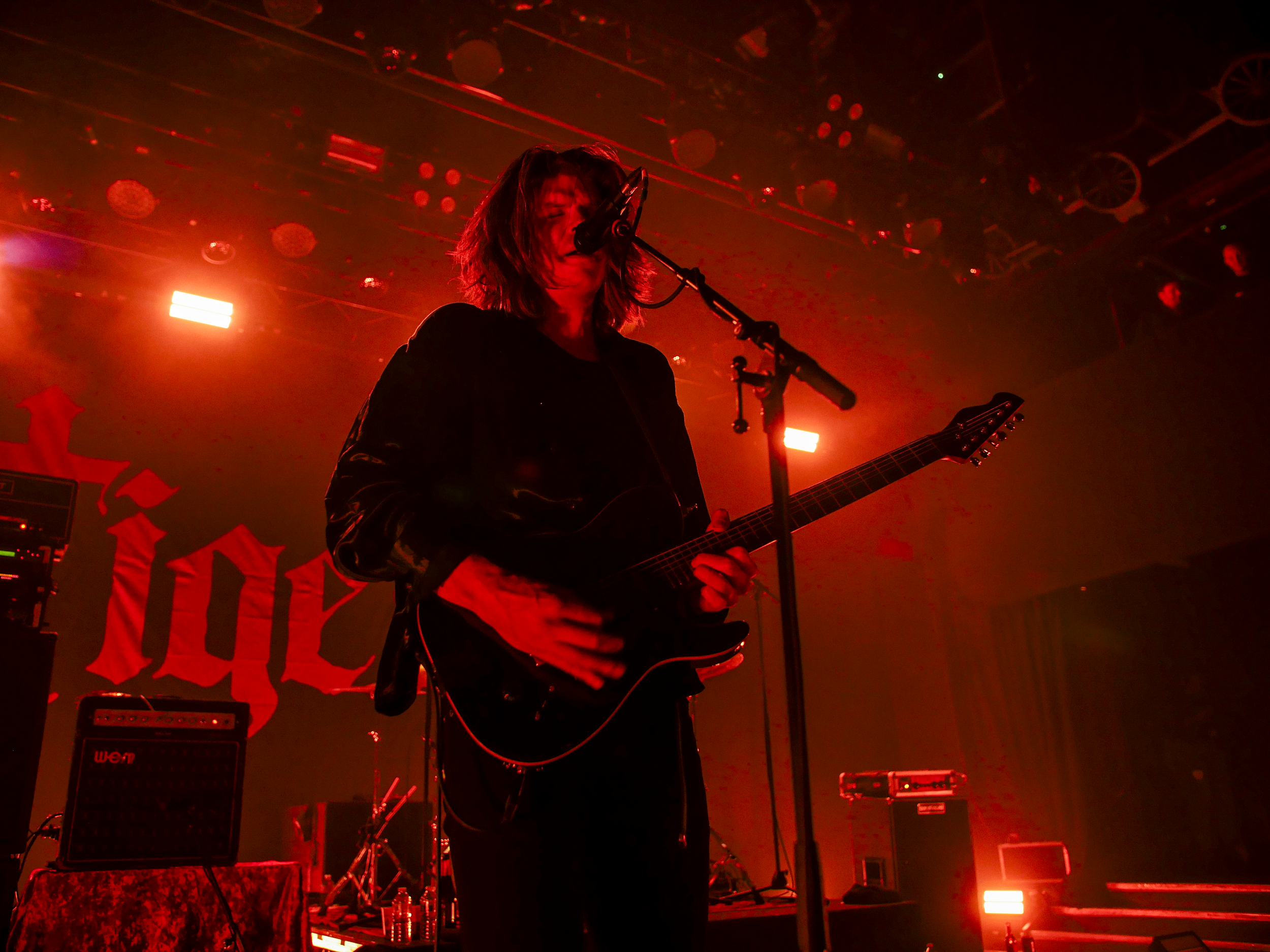 Tigercub KOKO Photos-10.png