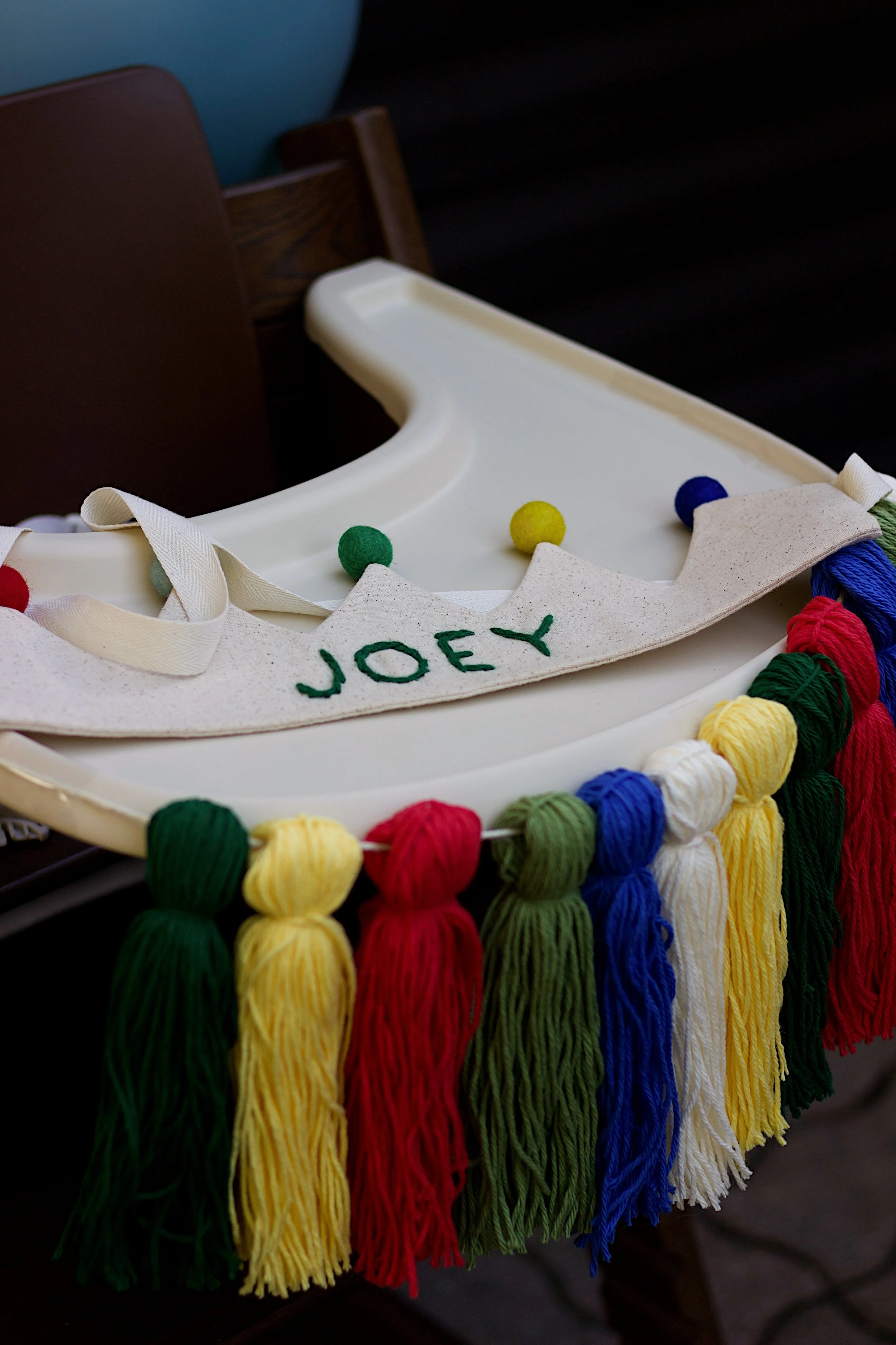 Joey's First Birthday