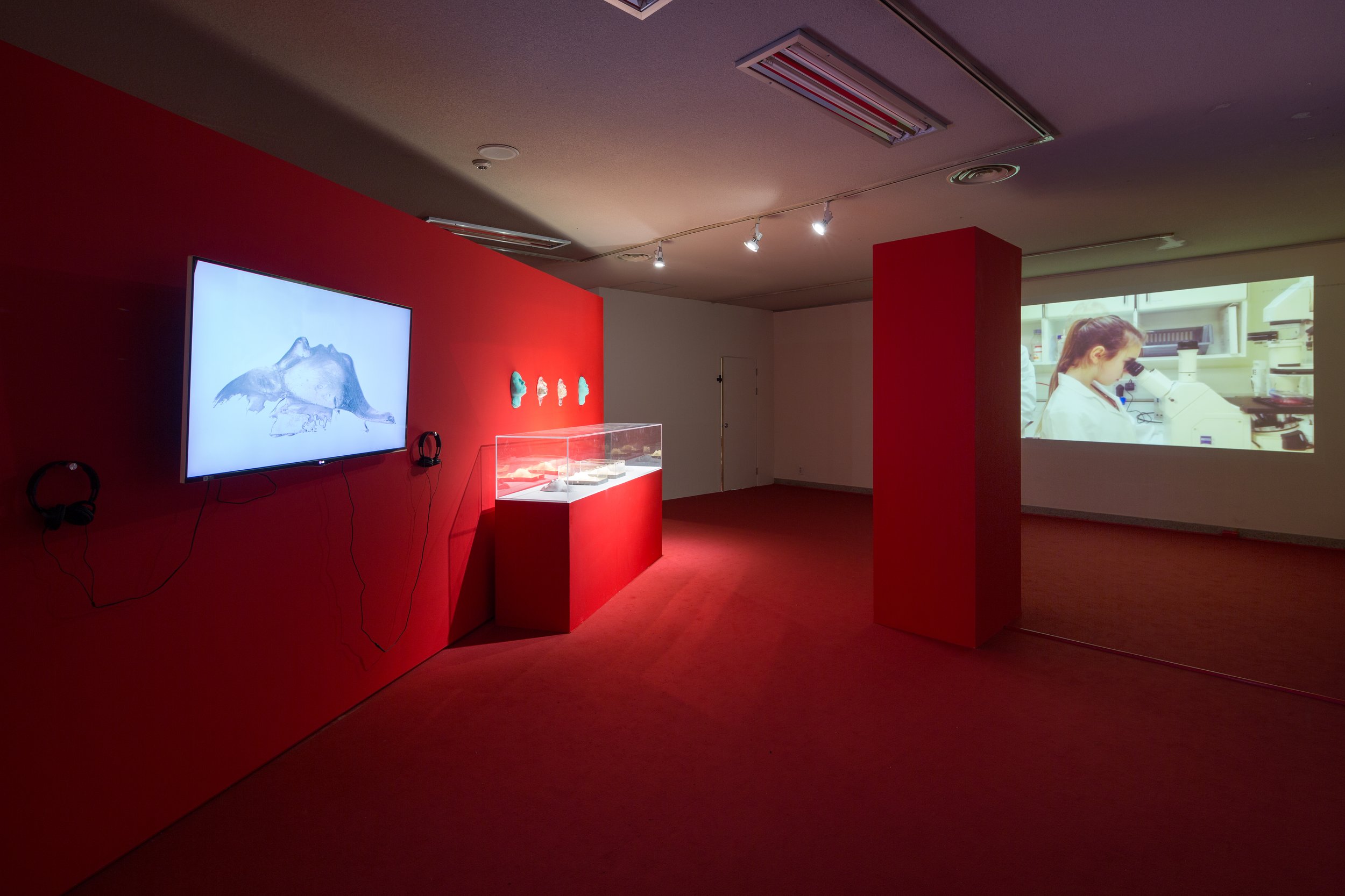 Gina Czarnecki, Heirloom, Installaion View