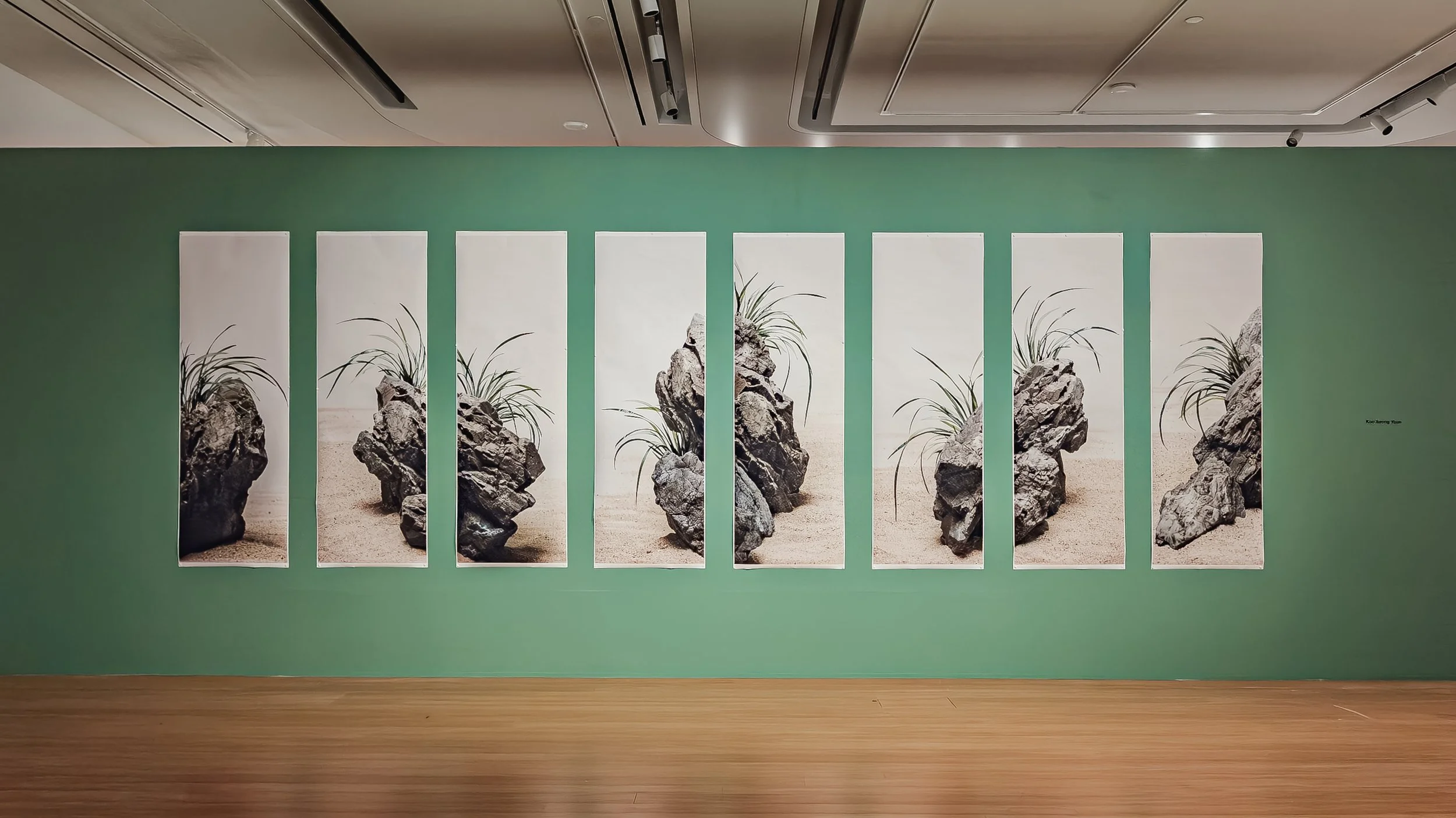 Koo Seong Youn, Eight-panel Folding Screen of Orchids, 2025, Archival pigment print on paper, each 8.24 × 72 in