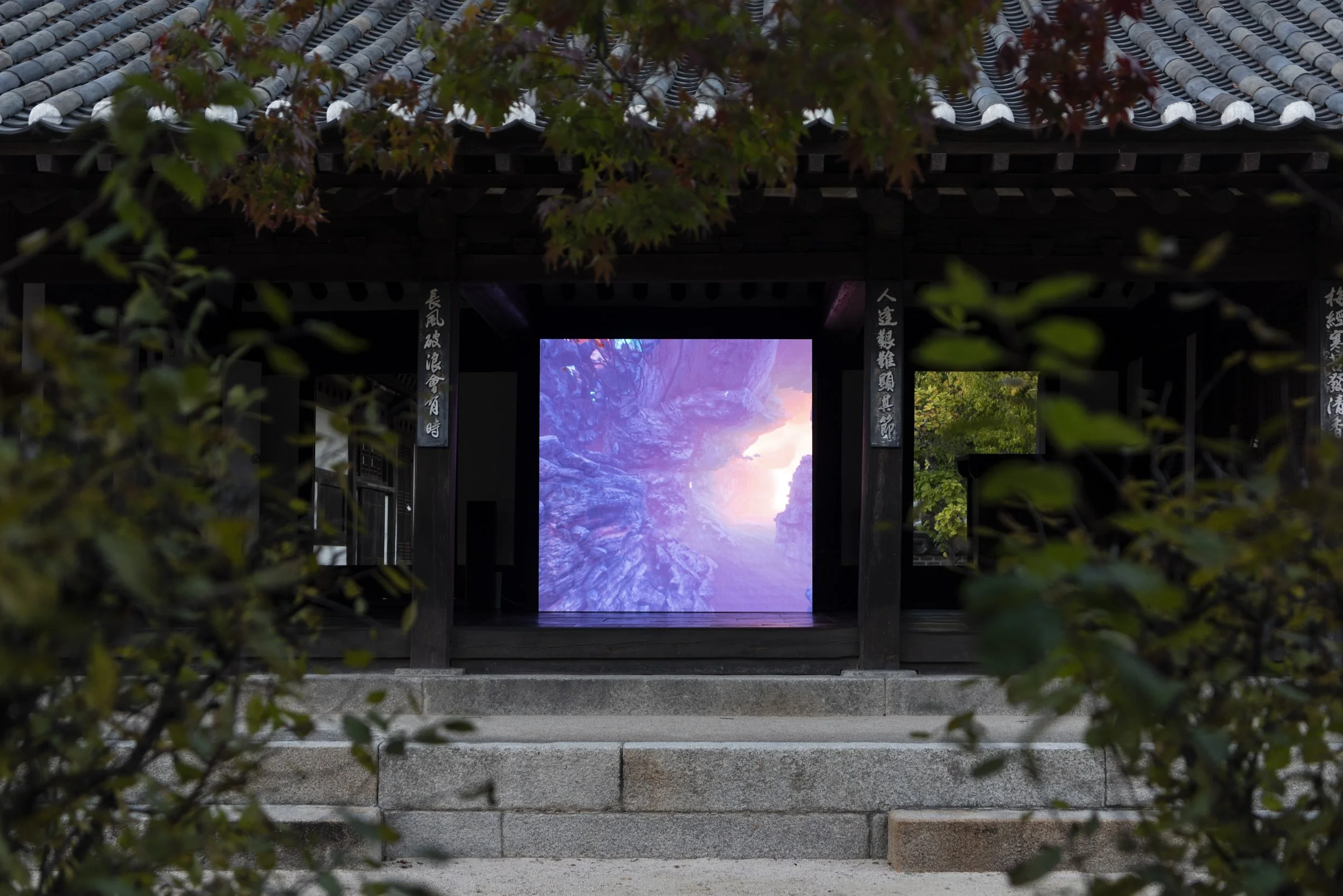 Aviary (2022), moving image installation