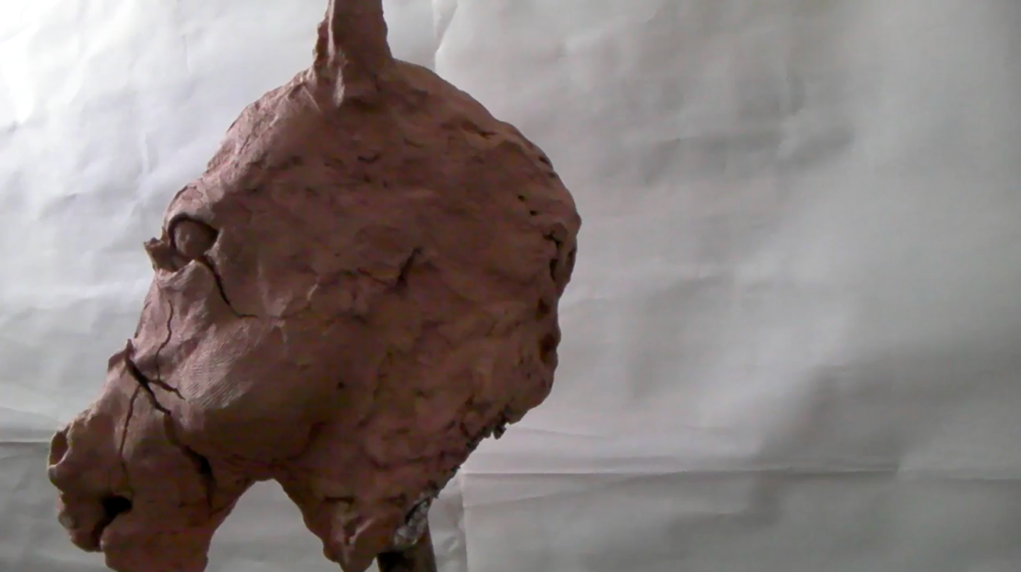 Becoming Horse Becoming Mineral.JPG