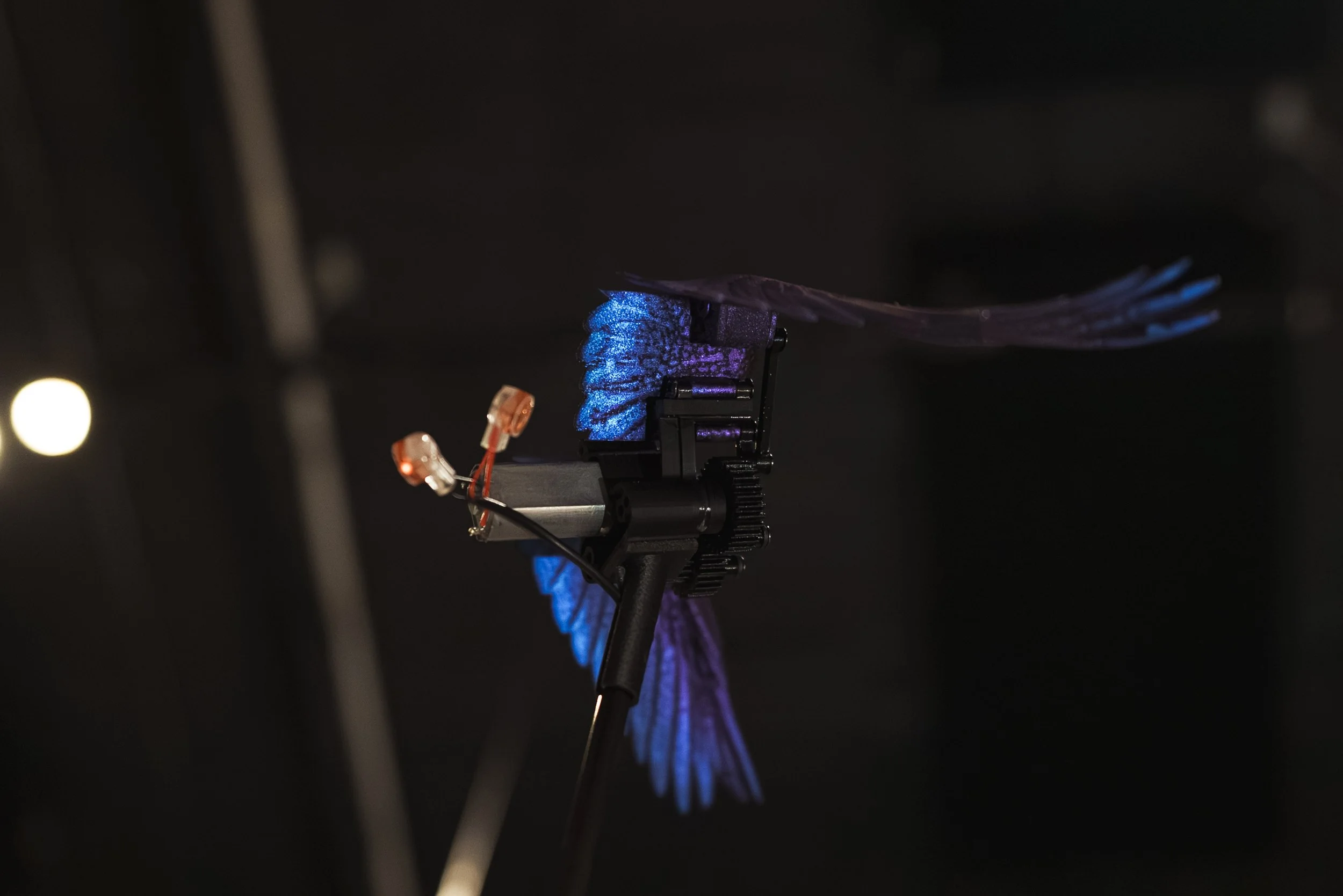 MINSANG CHO, 
STILL I RISE, 2025