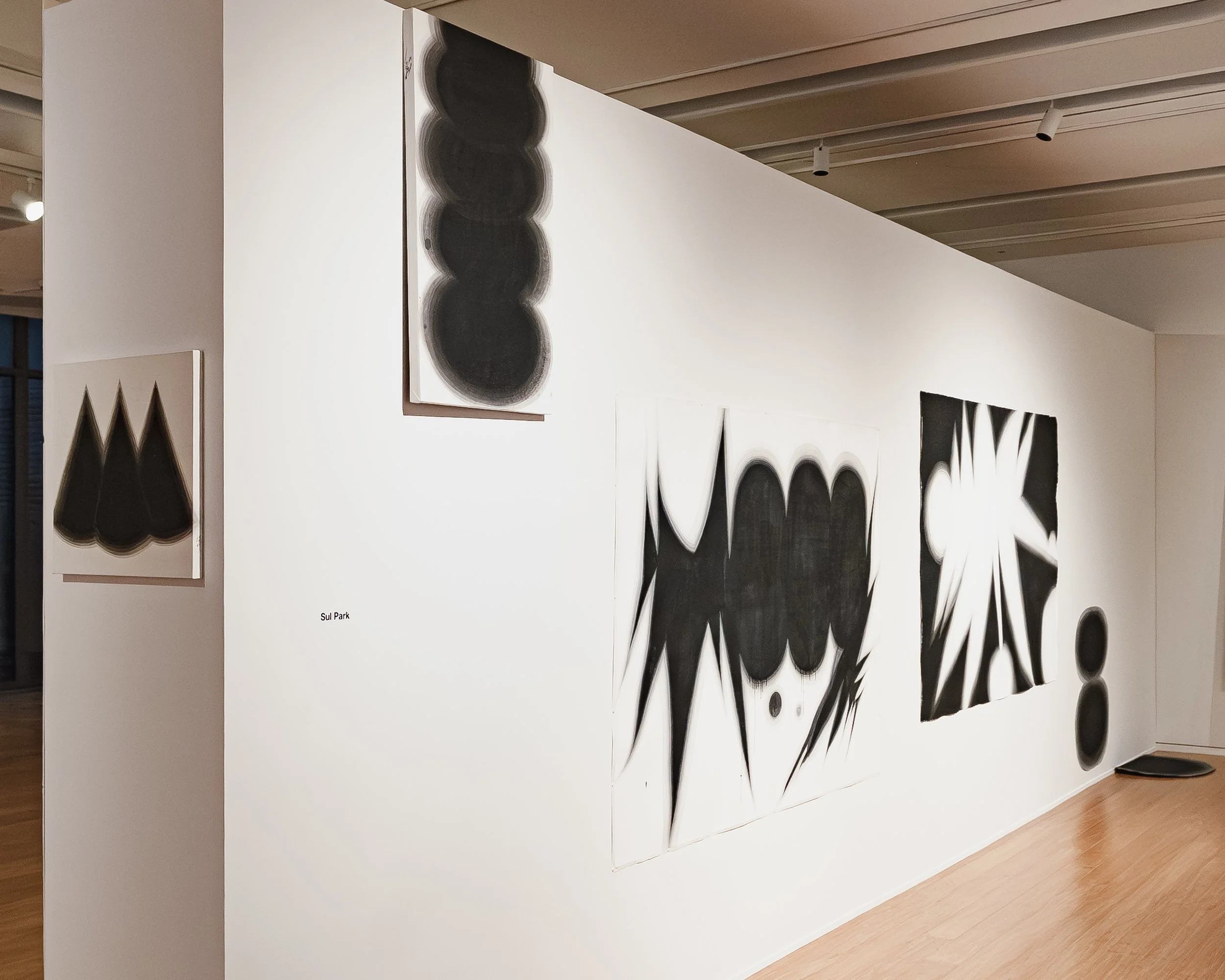 Installation shot, Sul Park