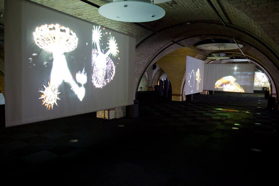 Crystallize_private view 7.jpg