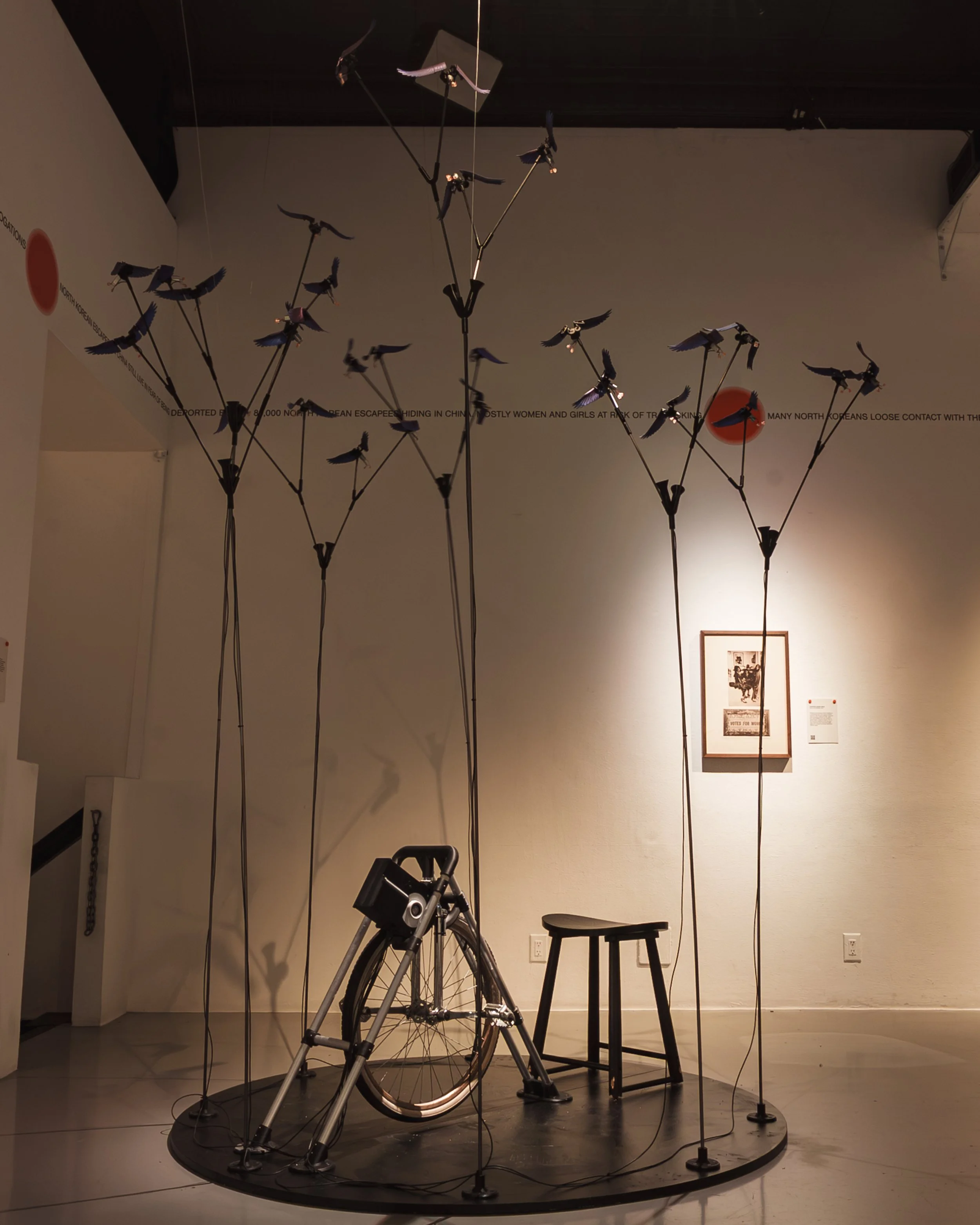 MINSANG CHO, 
STILL I RISE, 2025