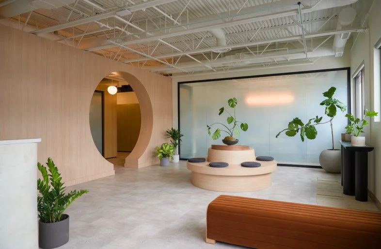 Modern indoor space with wooden decor, potted plants, a curved seating area with cushions, and a large glass window.