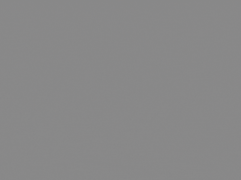 Social Action Campaign