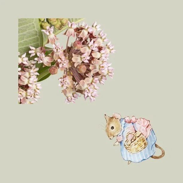 Her dear creatures opened a portal into the widest and most powerful arena of all — the natural world. In the year she was born, her Potter grandfather purchased a 300-acre Capability Brown estate at Hatfield in Hertfordshire.
Annual family tri