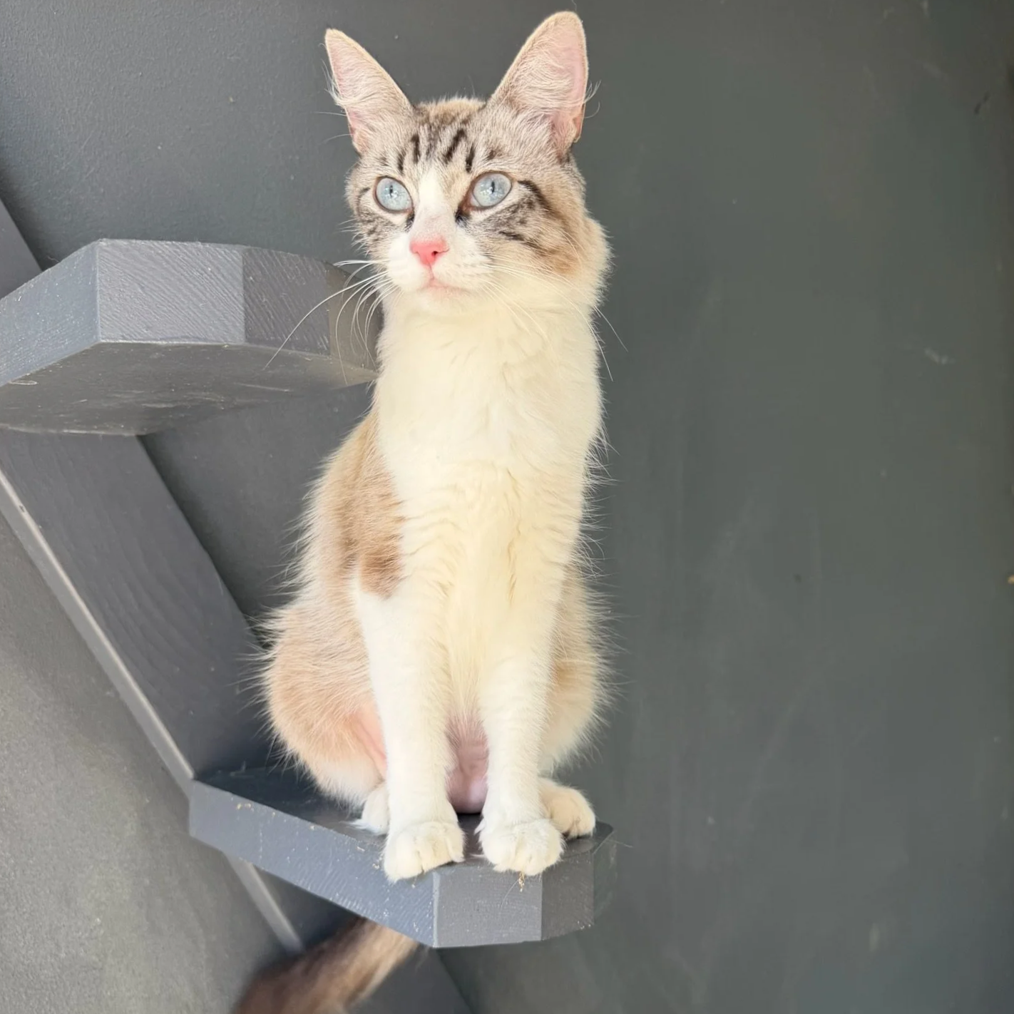 IMG_7924.png