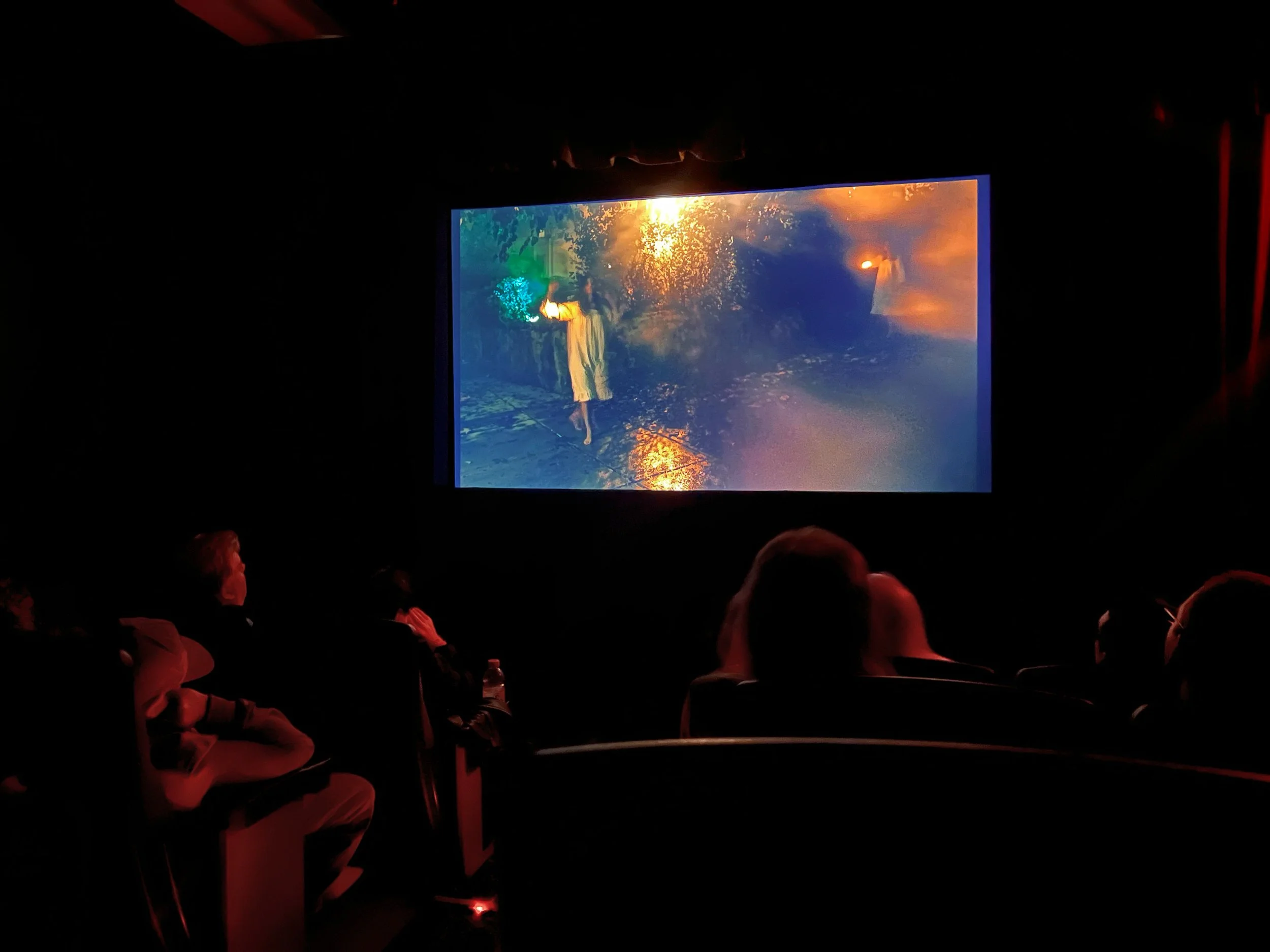 Screening_Boston_Open_Screen_Agnese Marsilii_Bloom_.jpg