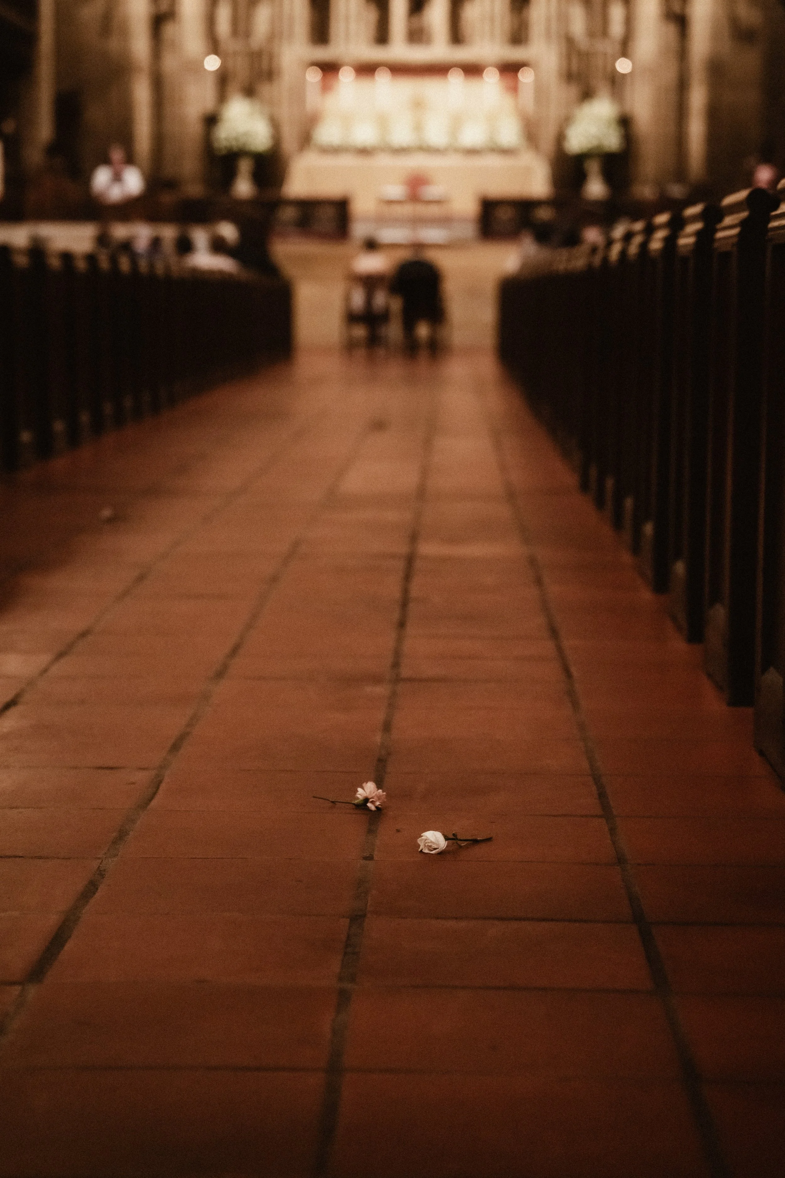 DSC07361.jpeg