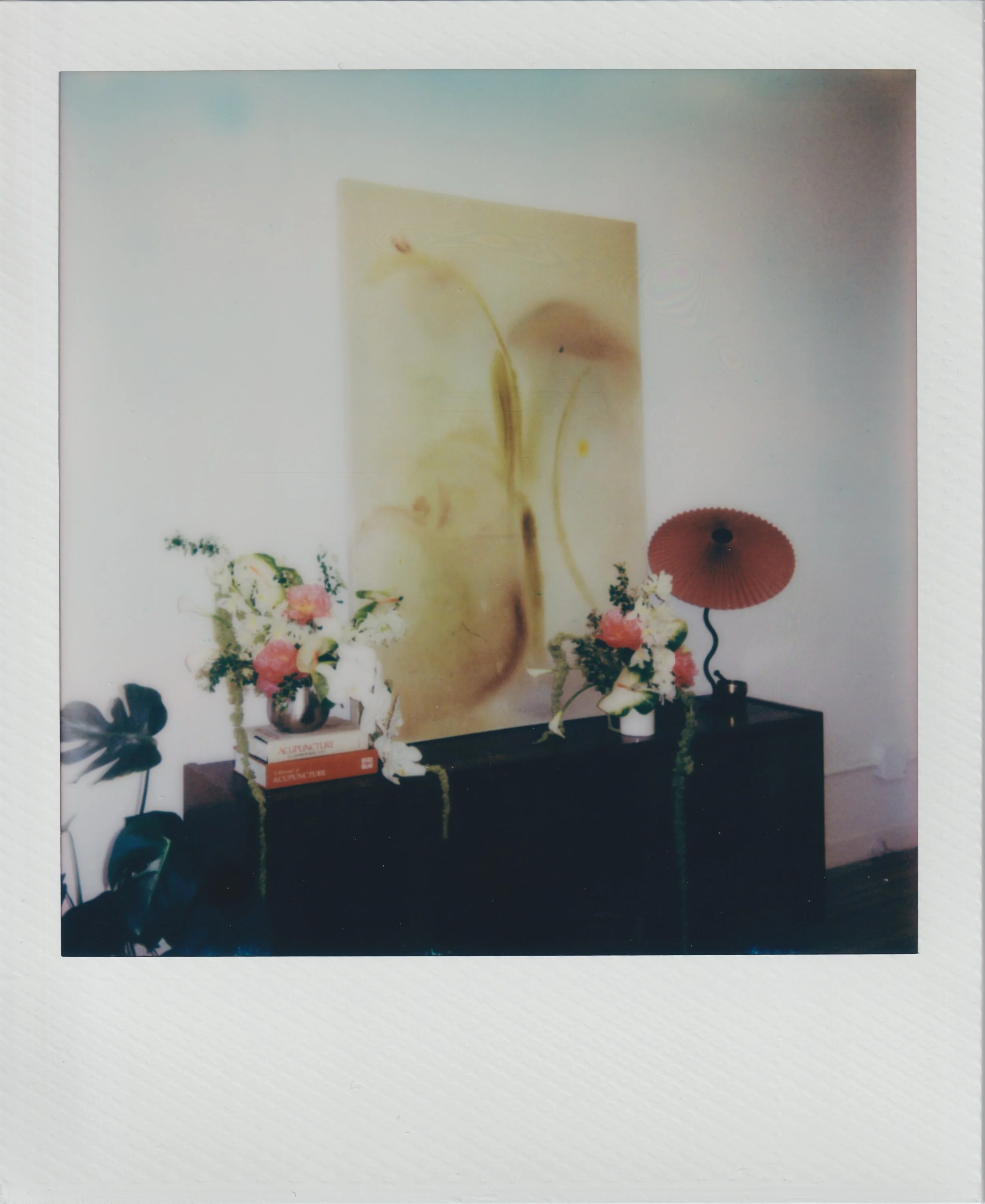 SYI Acupuncture Polaroids-3.jpg
