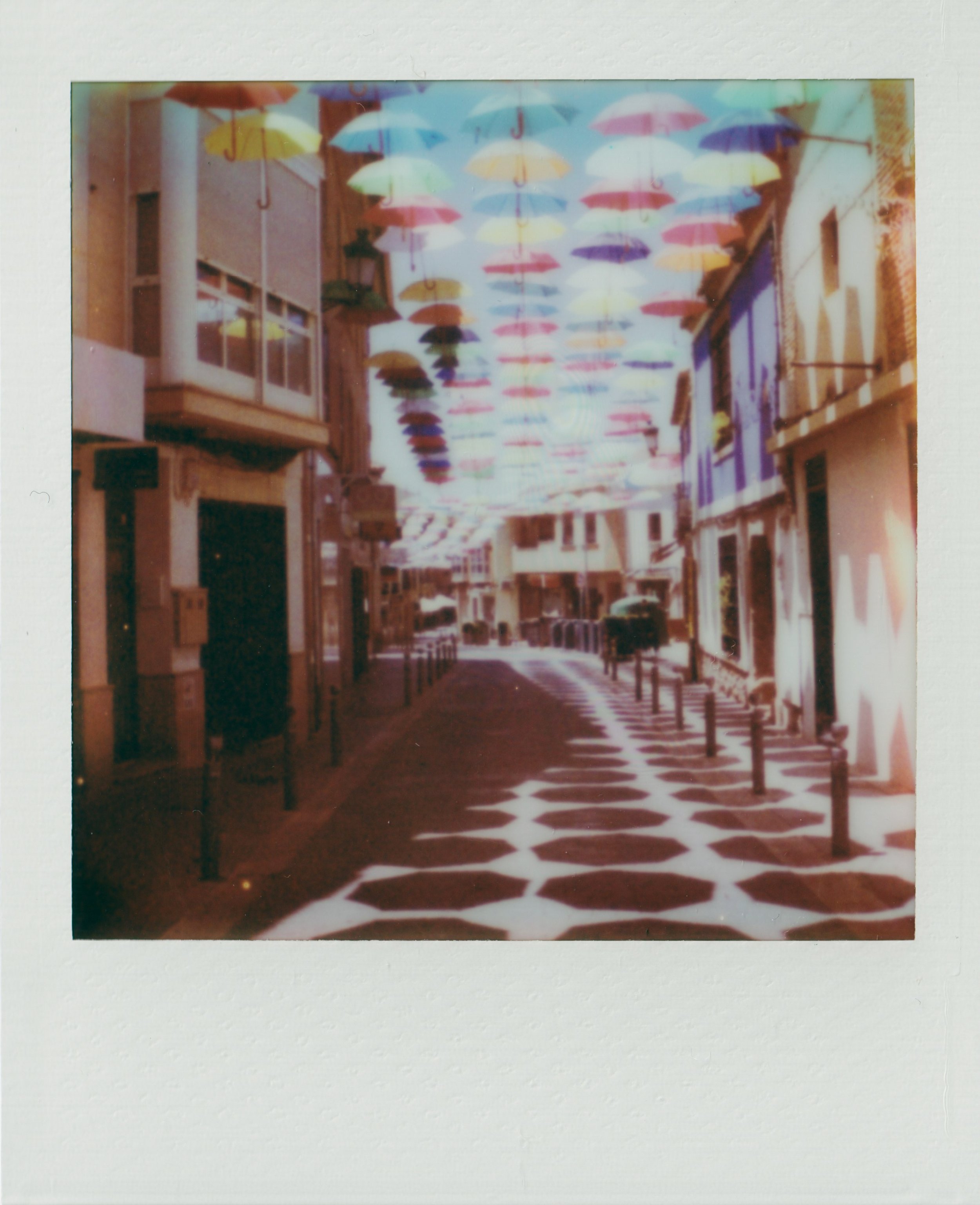 polaroid go minis summer 26-6.jpg