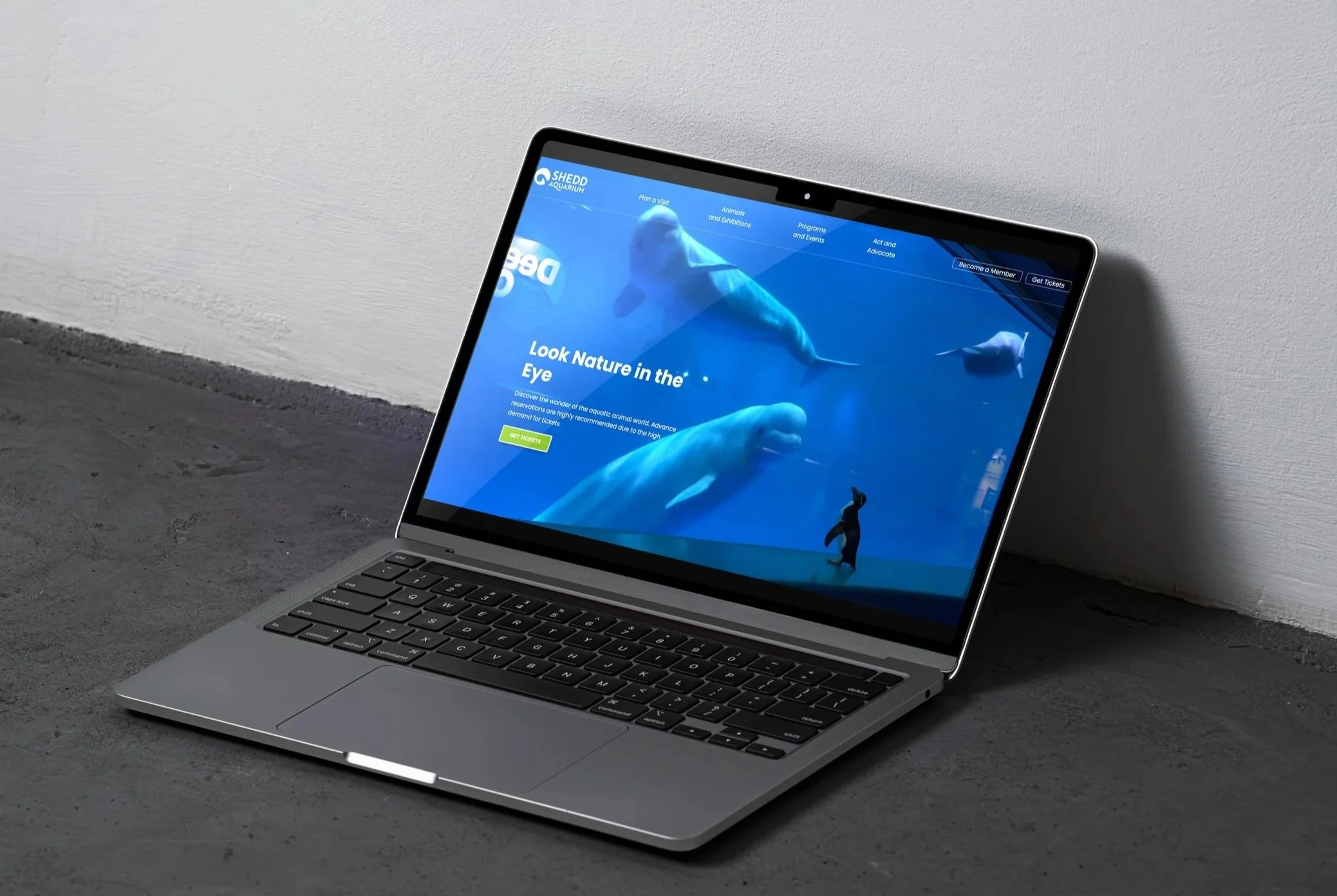 Shedd Aquarium - Website Redesign