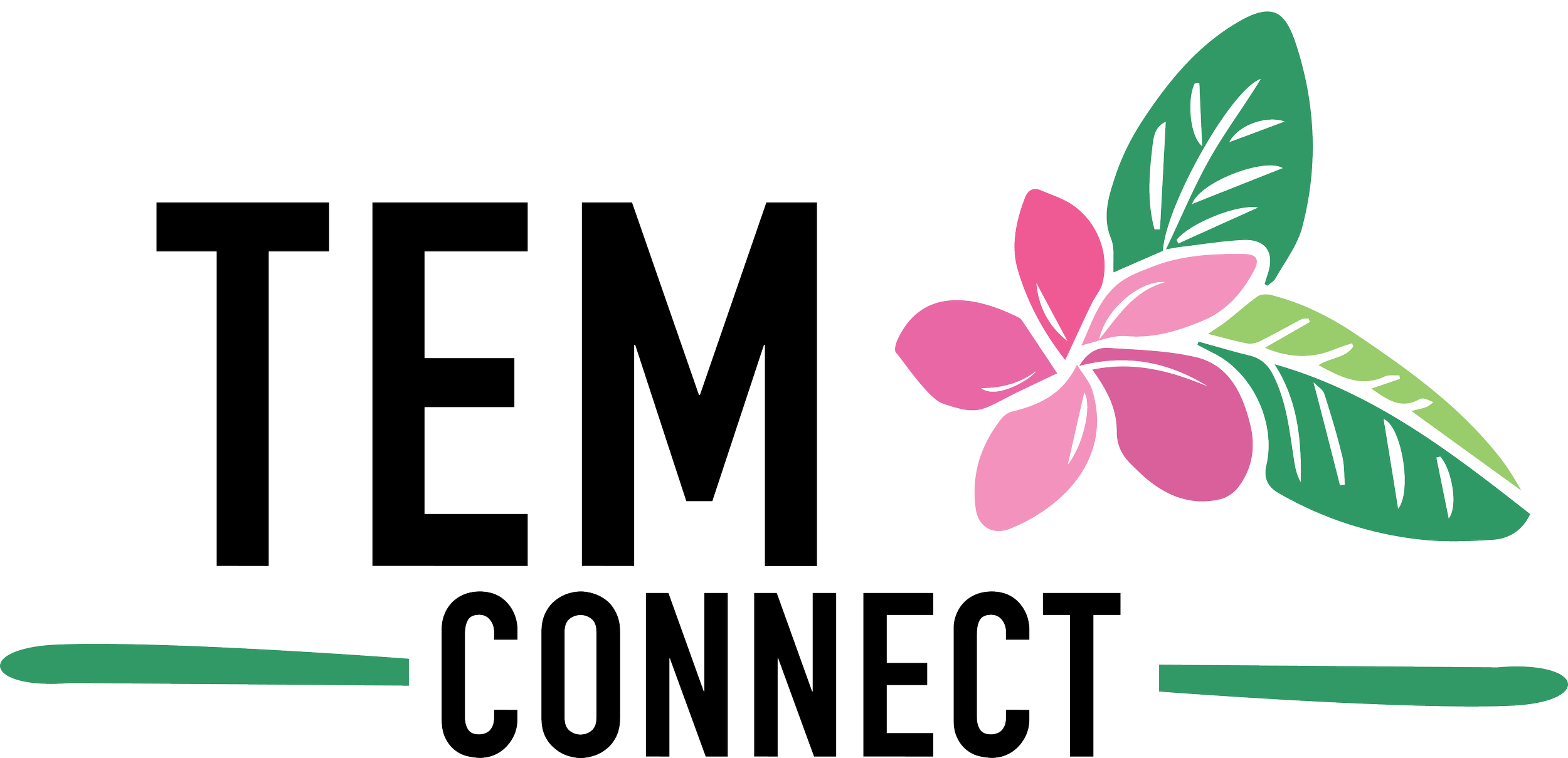 Logo with text 'TēM Connect' and a pink flower with green leaves