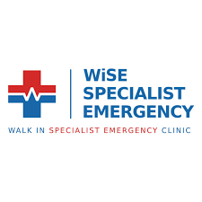 Logo of WiSE Specialist Emergency Clinic with a medical cross and heartbeat line.