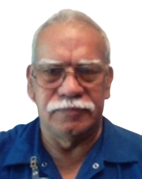 Hombre mayor con barba y bigote, gafas y cabeza calva, vistiendo una camisa azul.