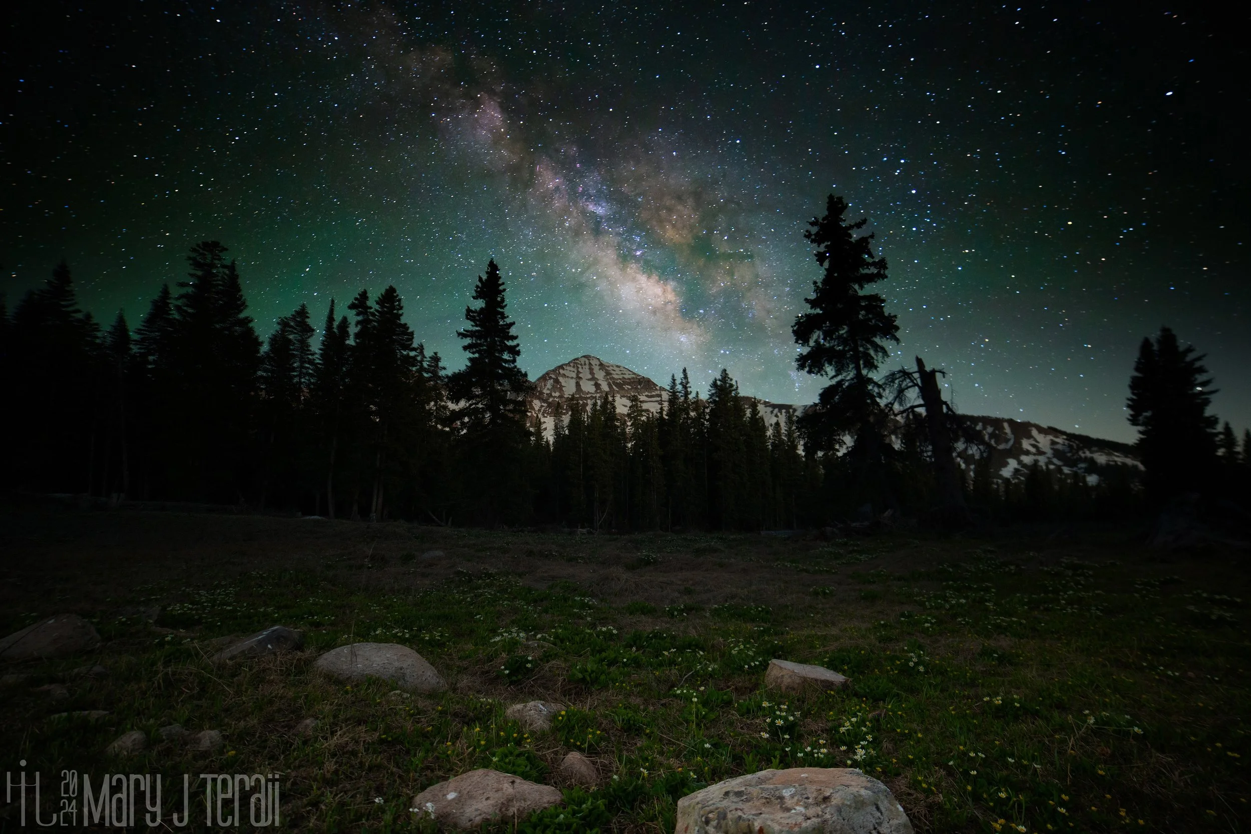 A snow-capped mountain and evergreen forest beneath the glowing Milky Way, with a meadow of wildflowers and rocks in the foreground.