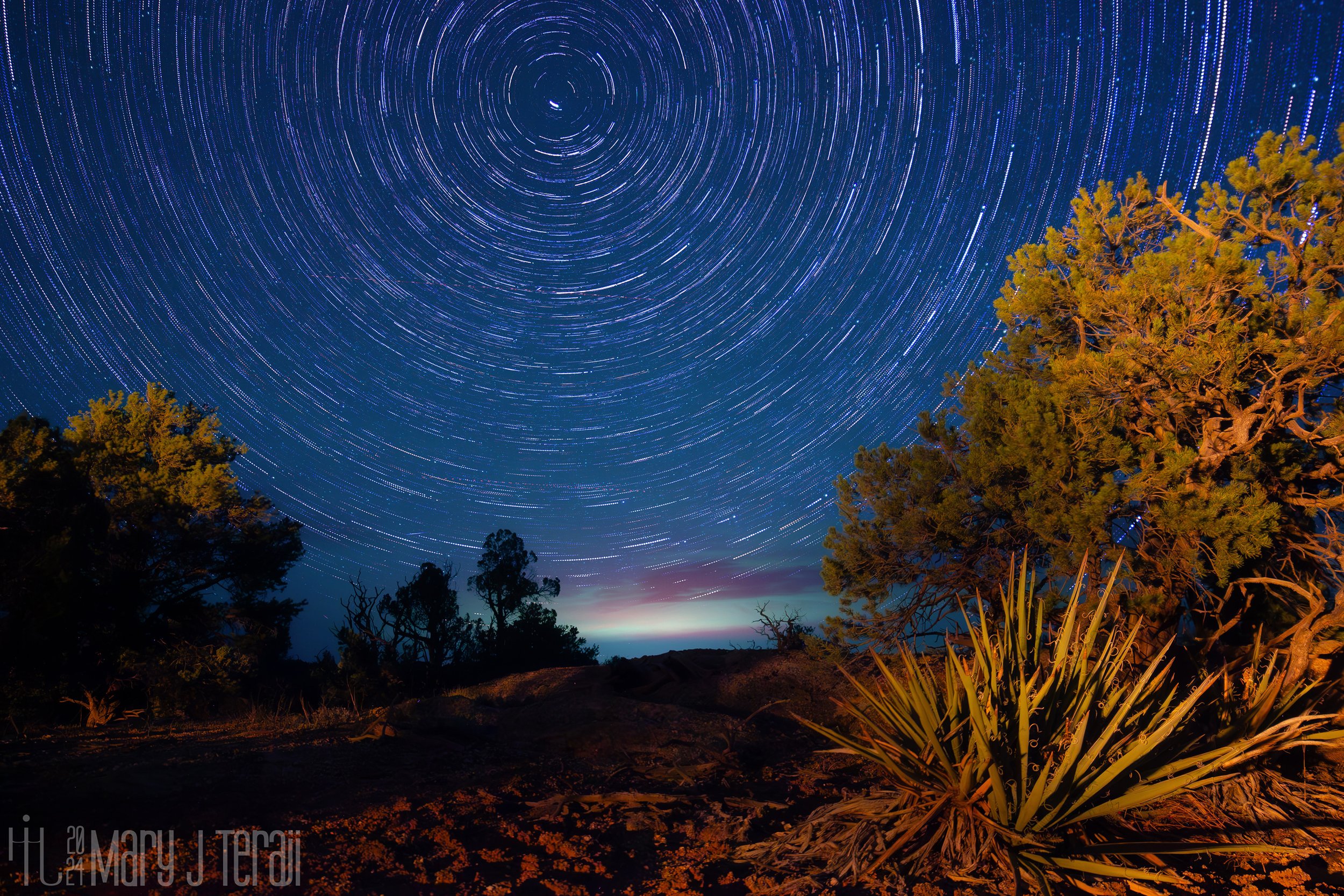Star trails swirl in perfect circular arcs above a rugged desert landscape, with silhouetted trees and a faint glow on the horizon.