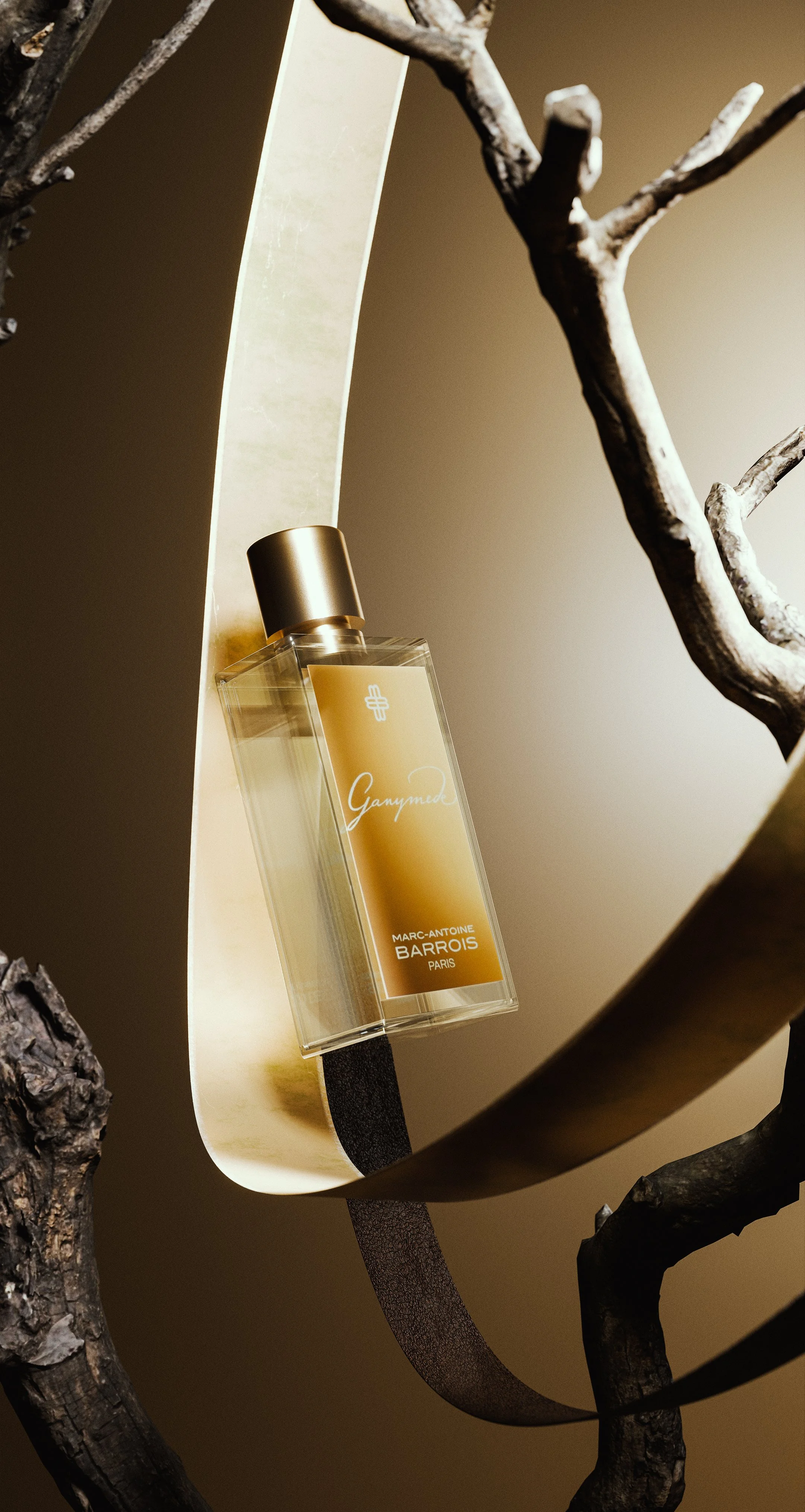 A project for Marc-Antoine Barrois