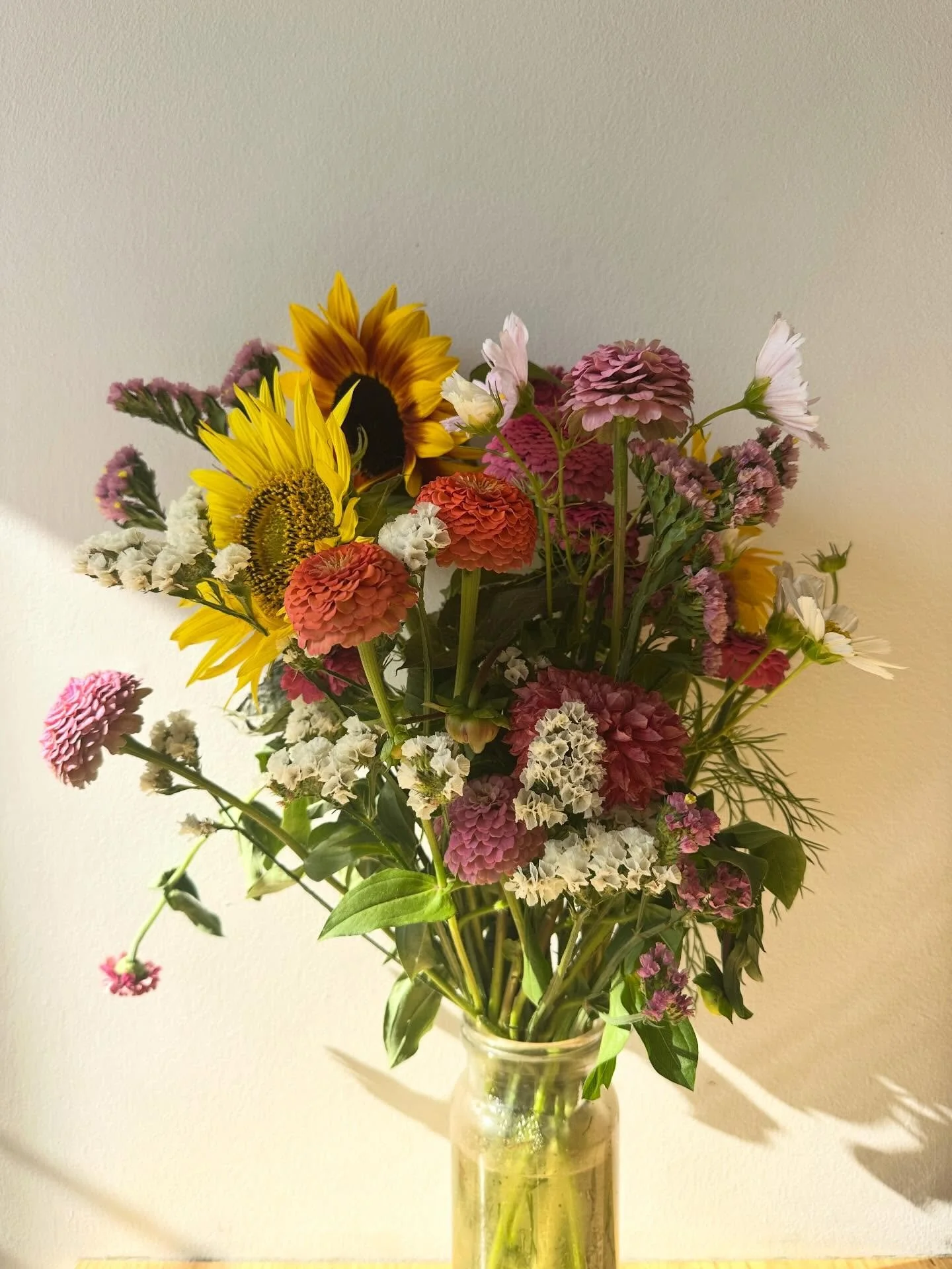 Fresh @wattlegullyflowerfarm flower drop at Northcote 💐