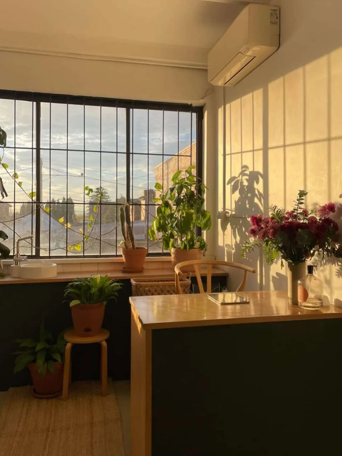 Autumn mornings at Northcote are simply the best 🌞 see you all weekend for classes Fam!
Thanks for the snaps @queen.jean.bean &amp; @barre.collective 💛