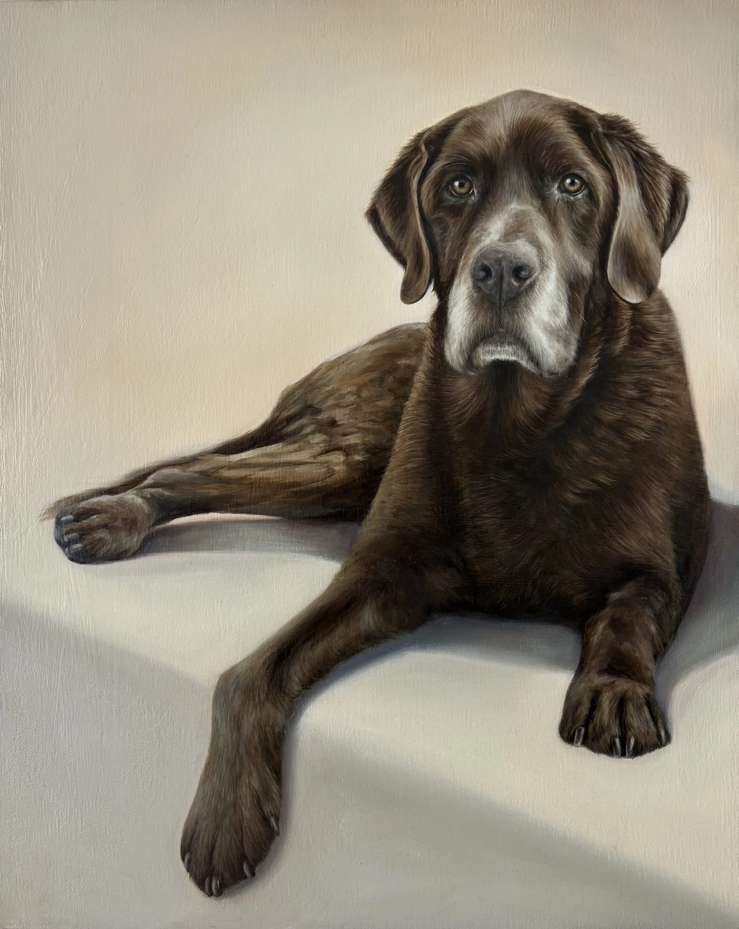 BOSCO, 2026, oil on canvas, 40 x 50cm