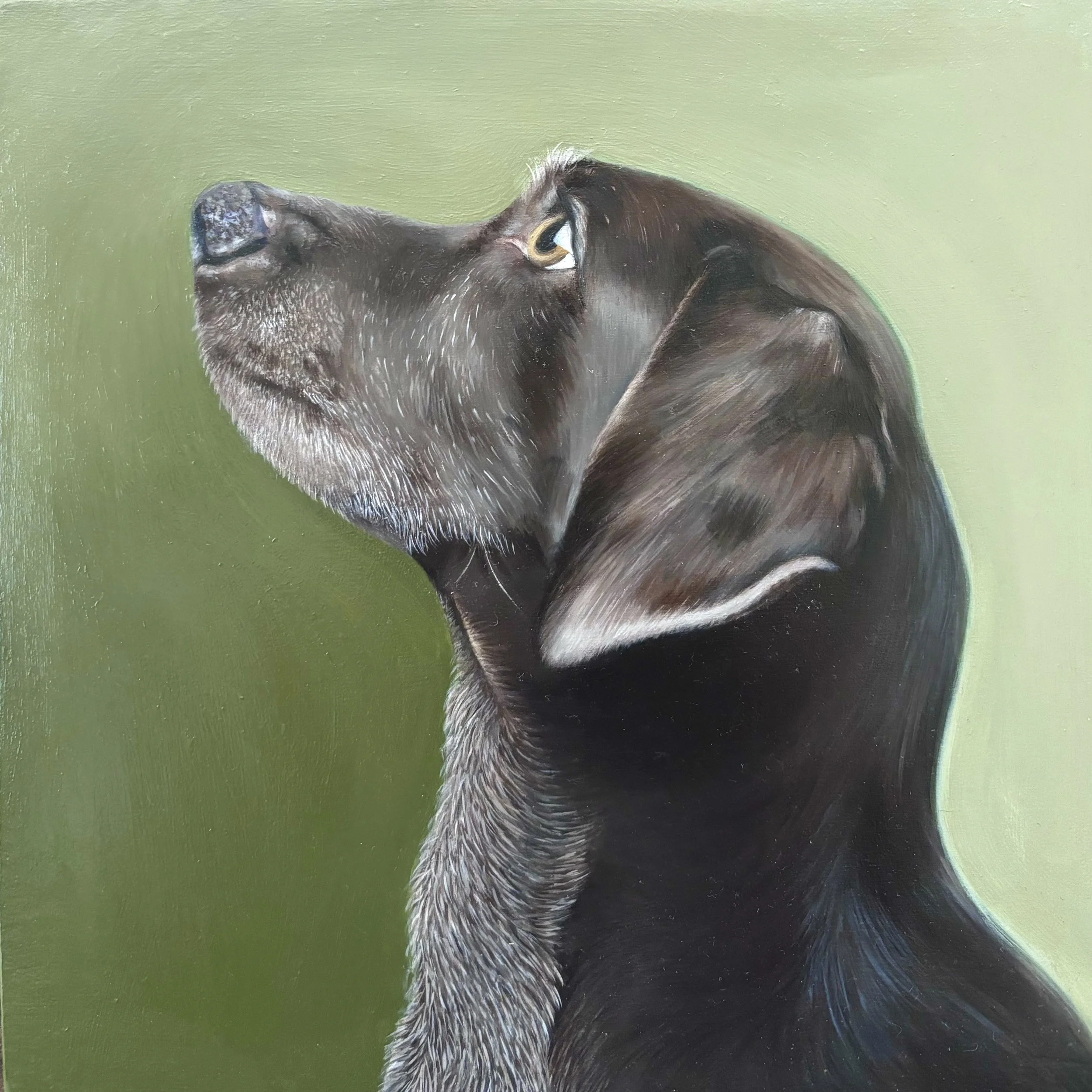 ENDURING, 2024, oil on board, 20 x 20cm