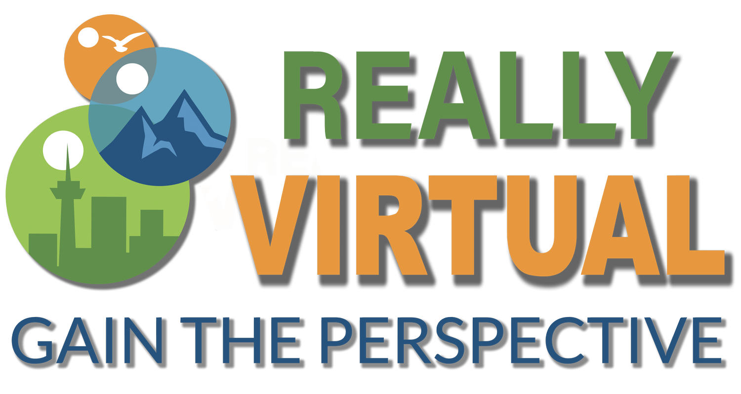 Really Virtual A Drone &amp; Virtual Tour Company.