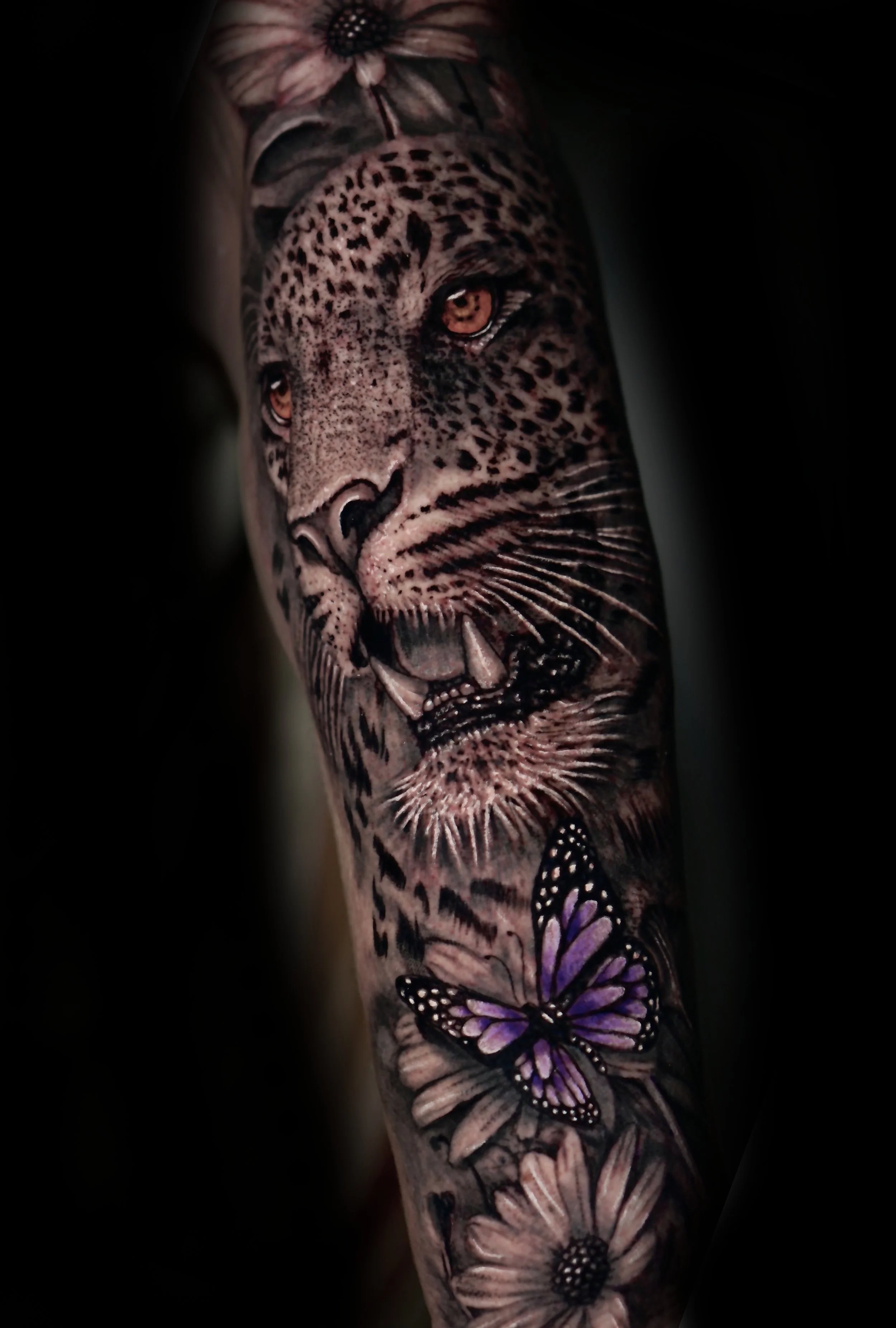 Copia de DSC01999.jpg