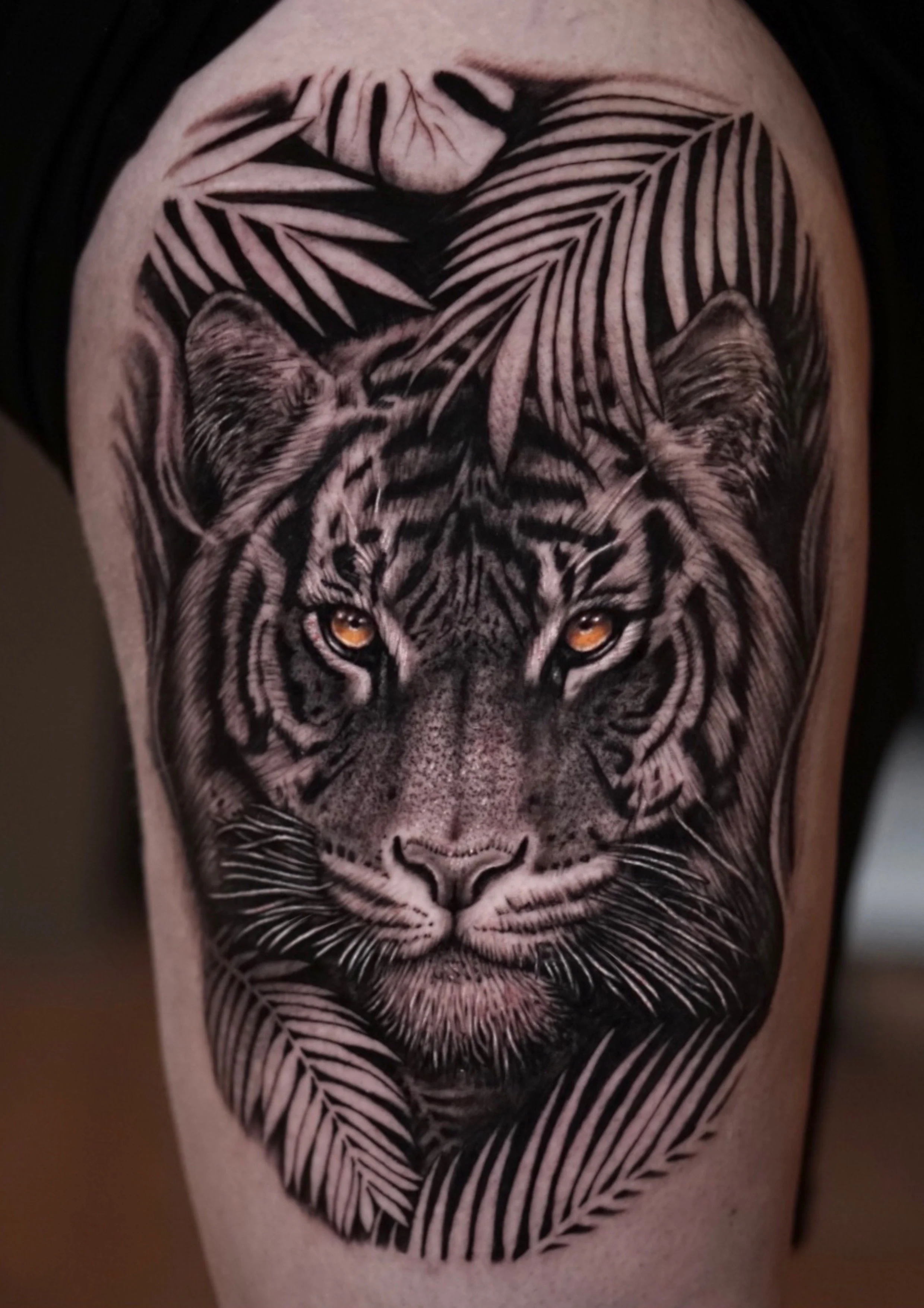 Copia de KYEG4999.jpeg