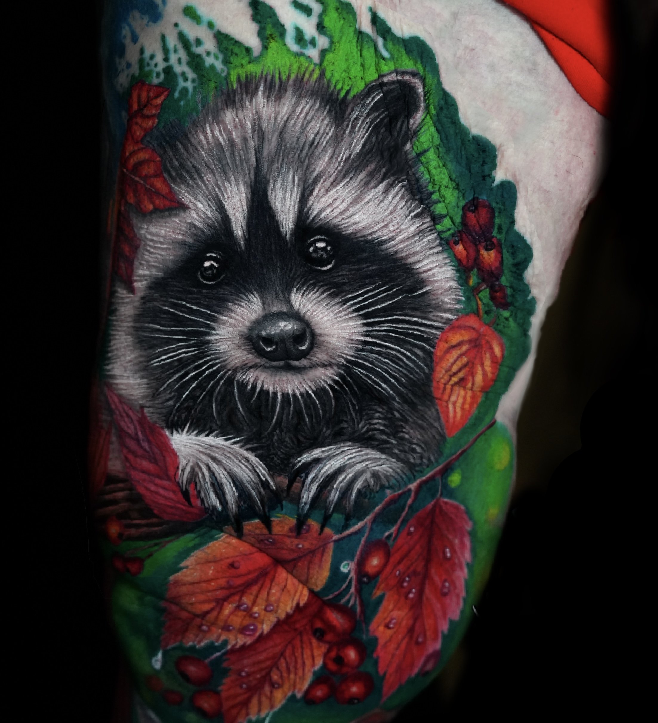 Ilustración_sin_título 12.jpg