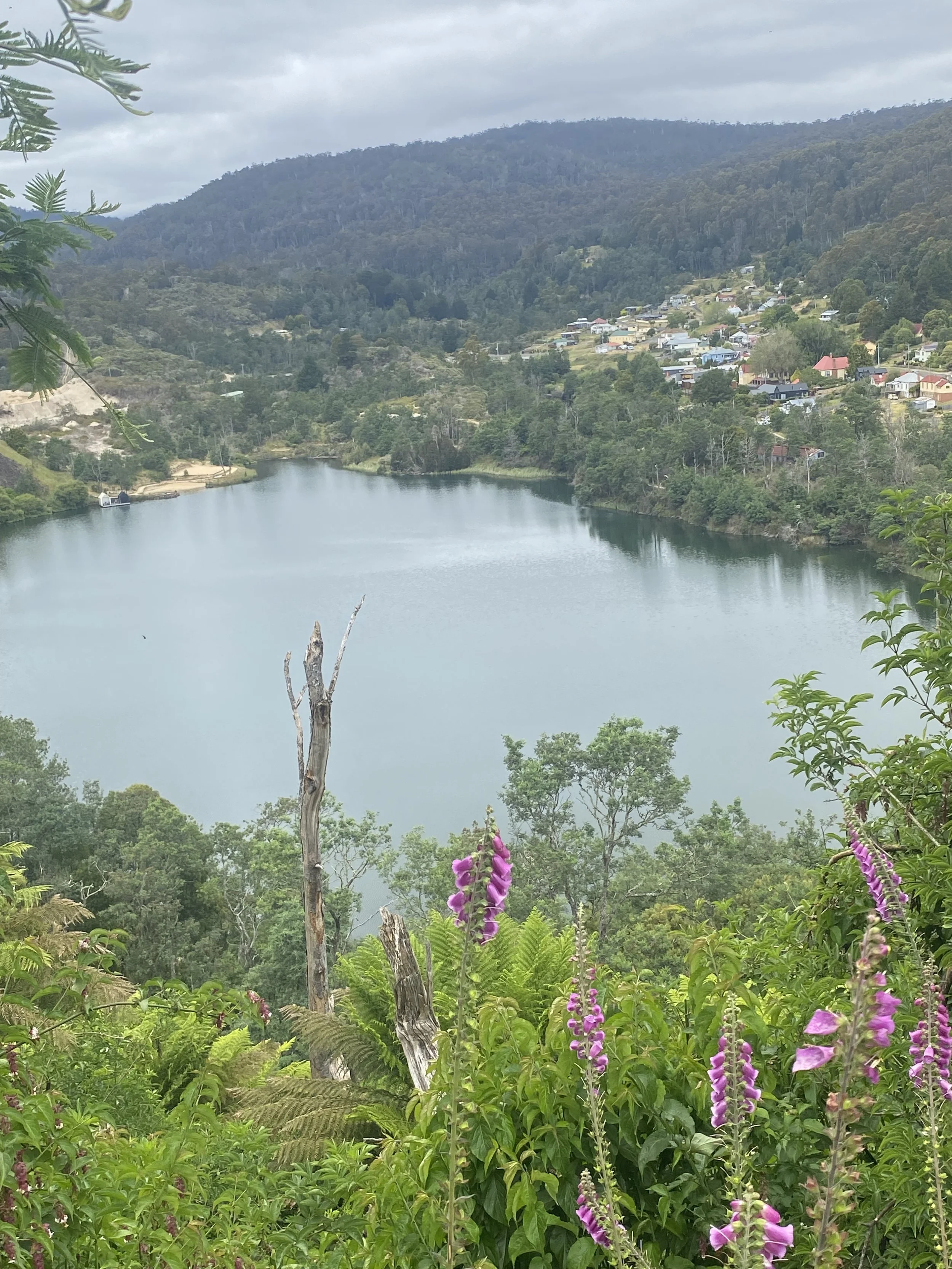 vipassana Meditation and the bright path ahead