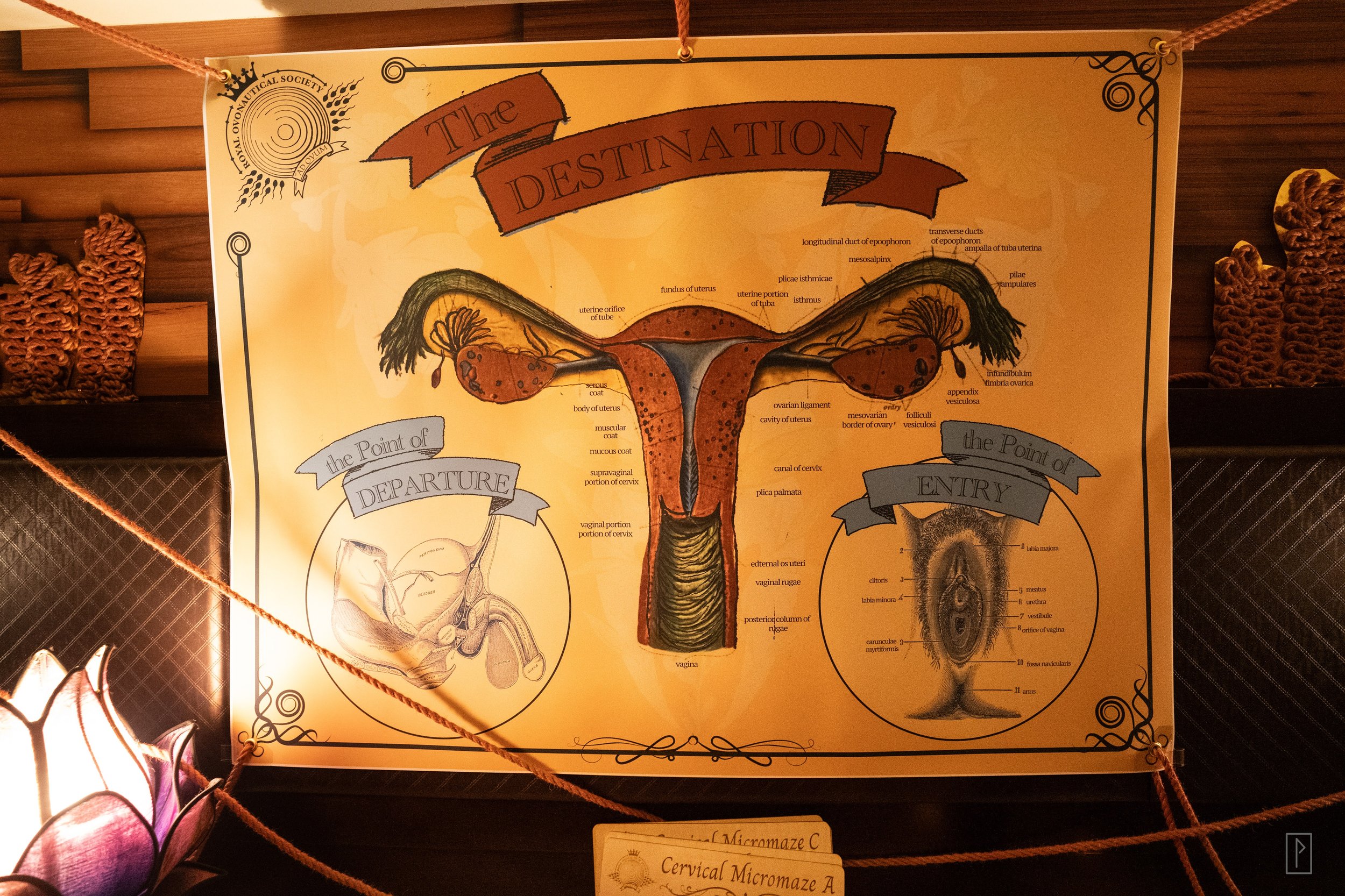 petrina-room service 2025-60.jpg