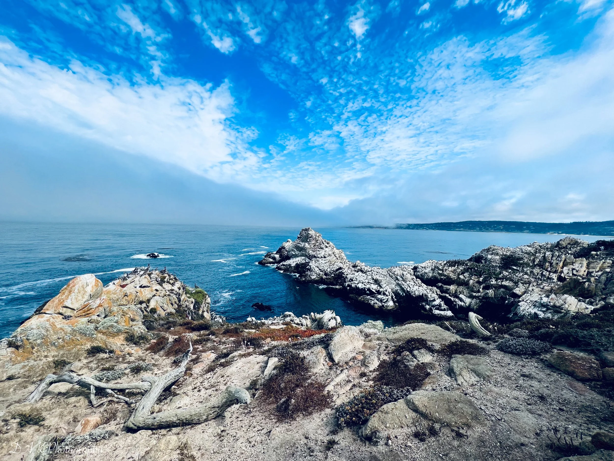 Point Lobos - Monterey, CA