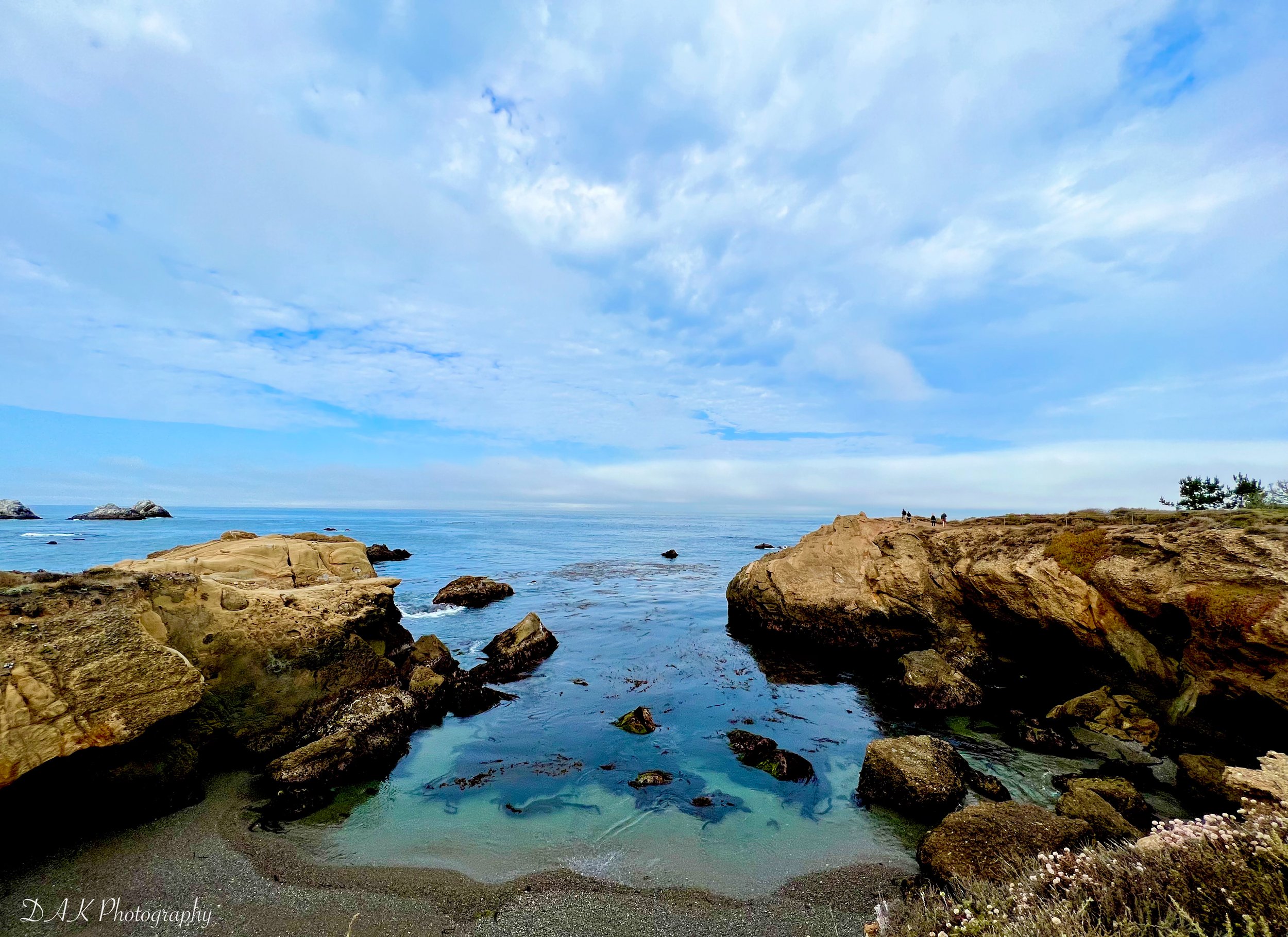Point Lobos - Monterey, CA