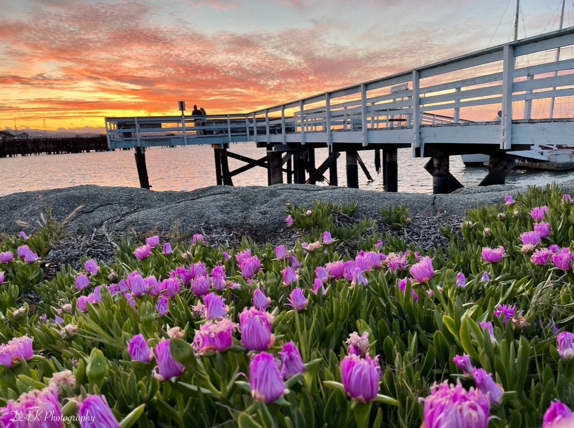 Marina Fishing Pier - Redwood City, CA