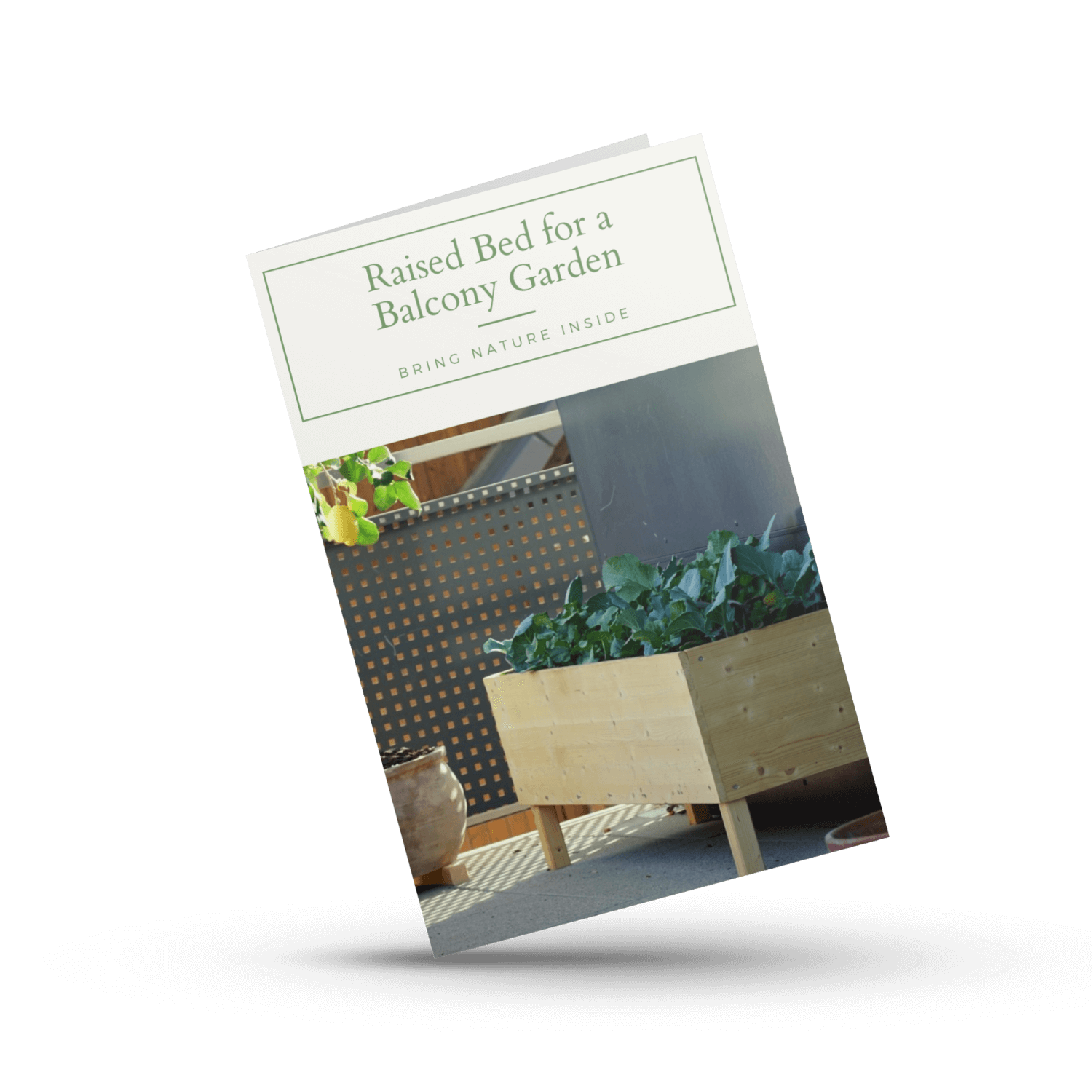Raised Bed Guide