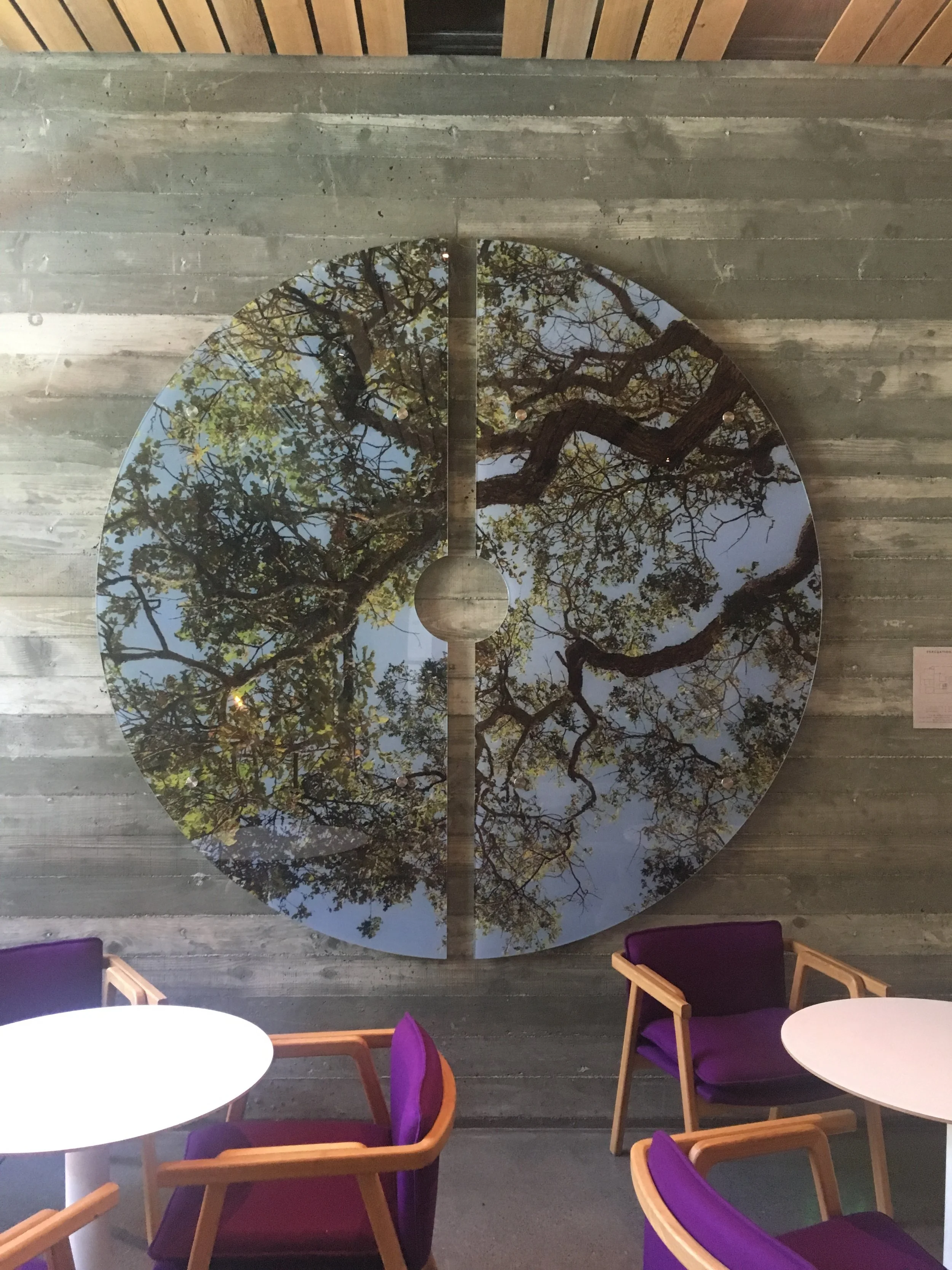 2018-07-31 12.03.45.jpg