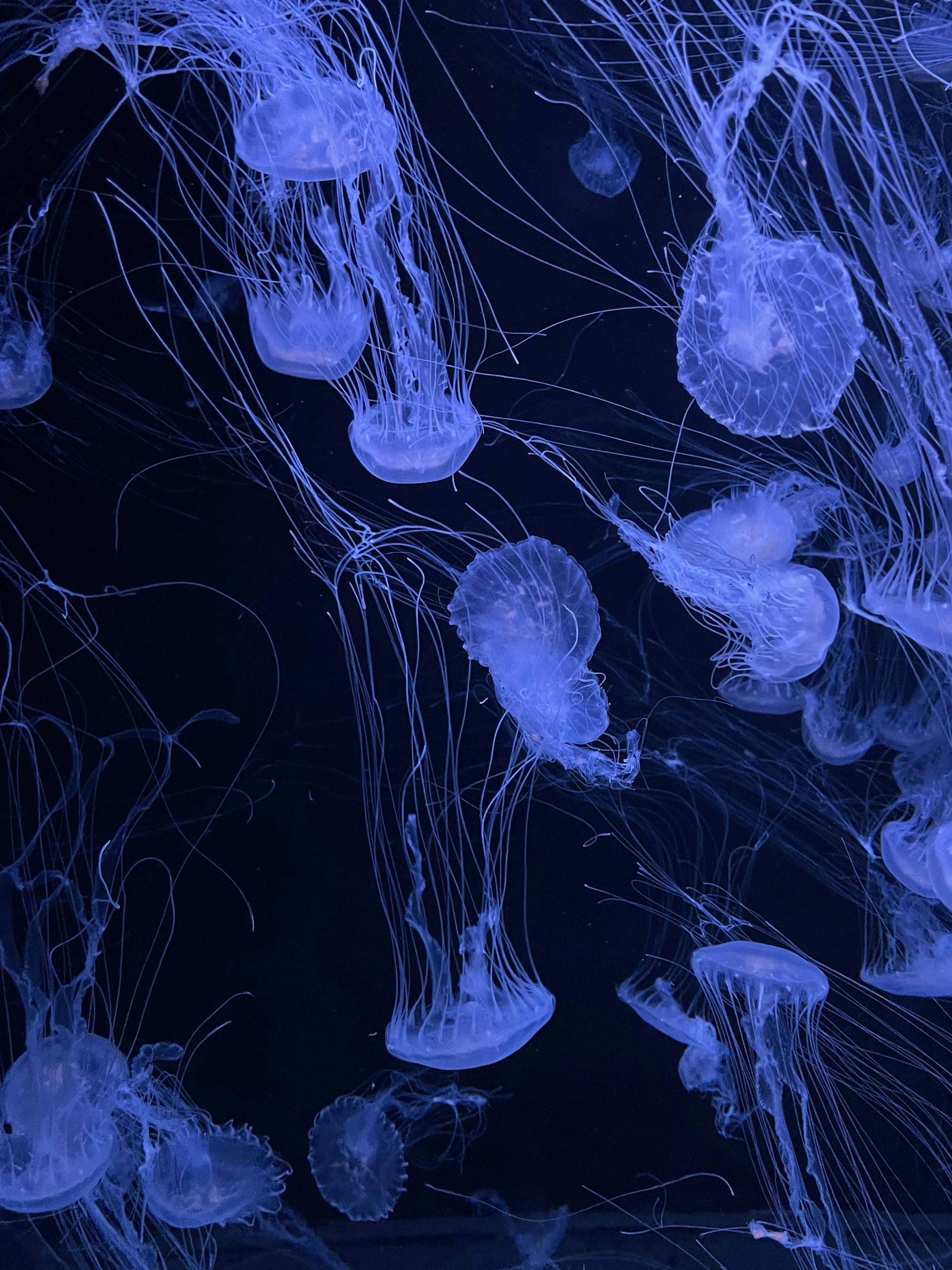 What Your Nervous System Is Trying to Tell You