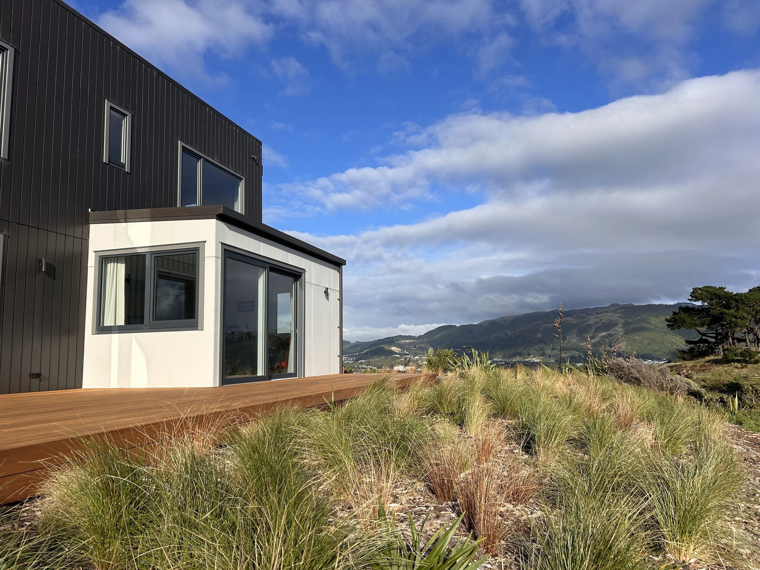 Low maintenance planting with natives and grasses. Softscape landscaping completed