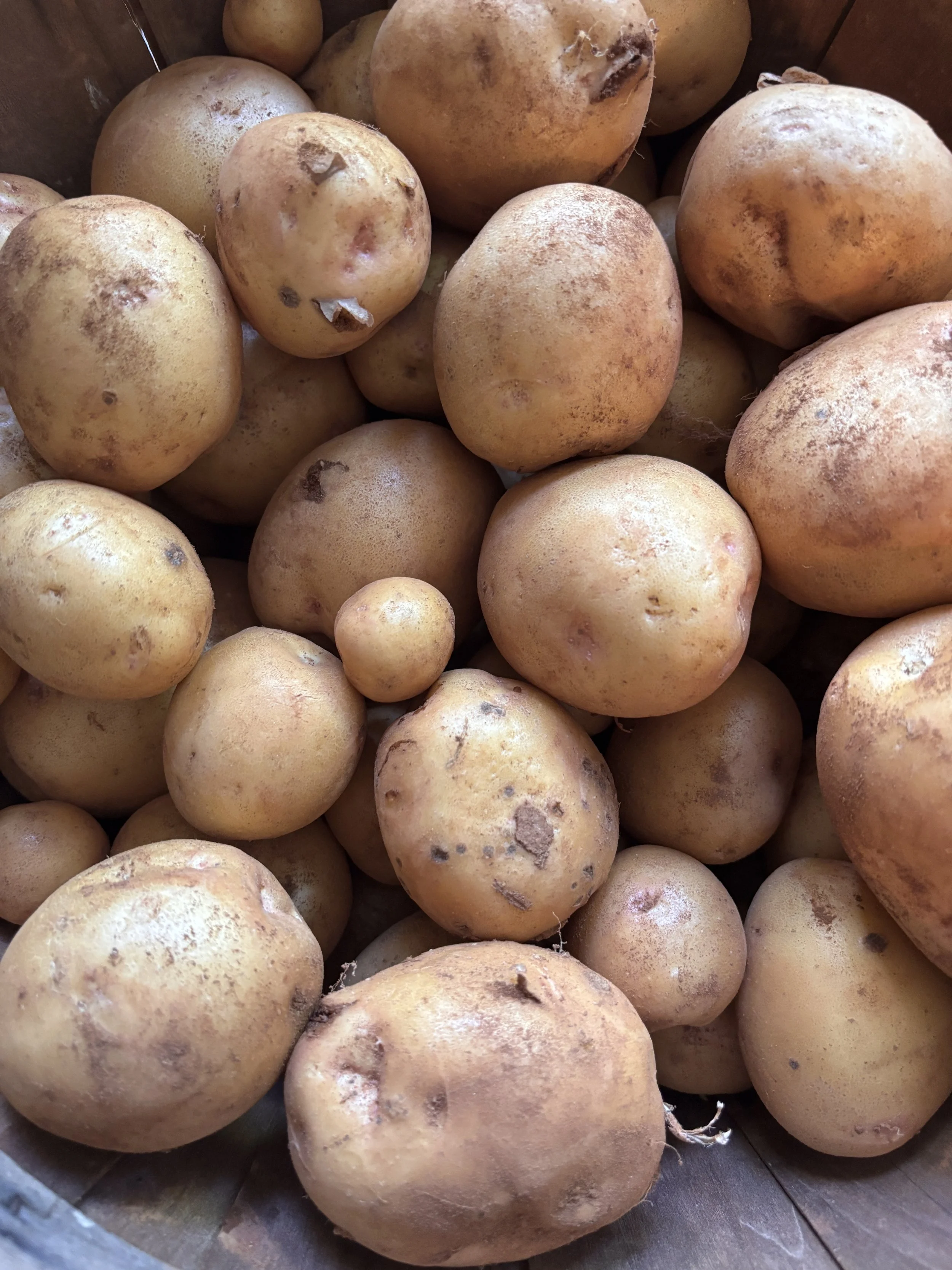 Potatoes