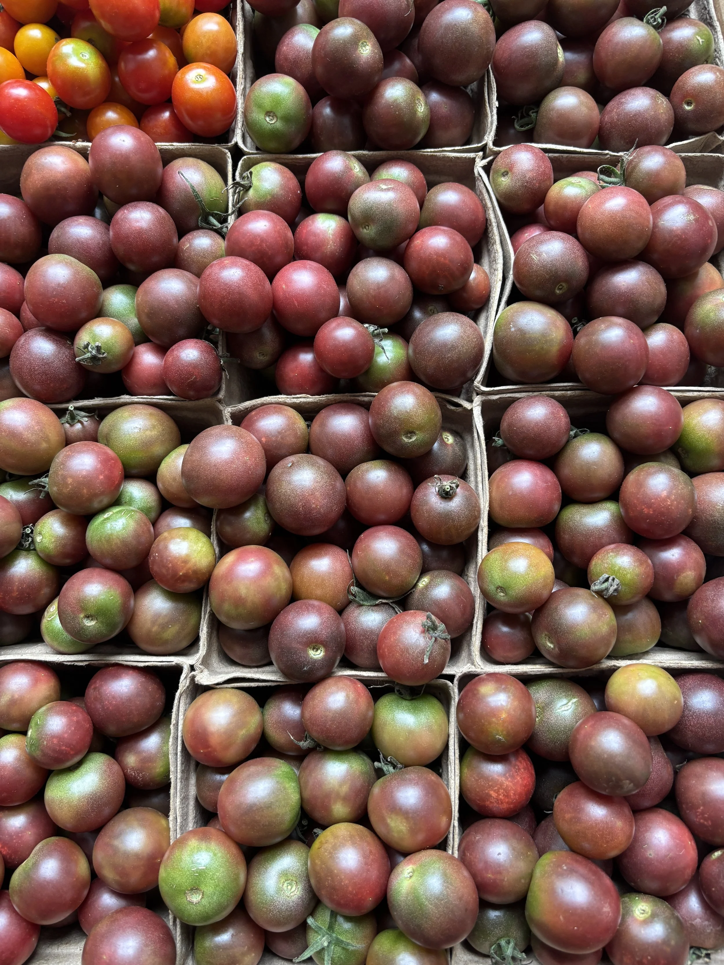 Cherry Tomatoes