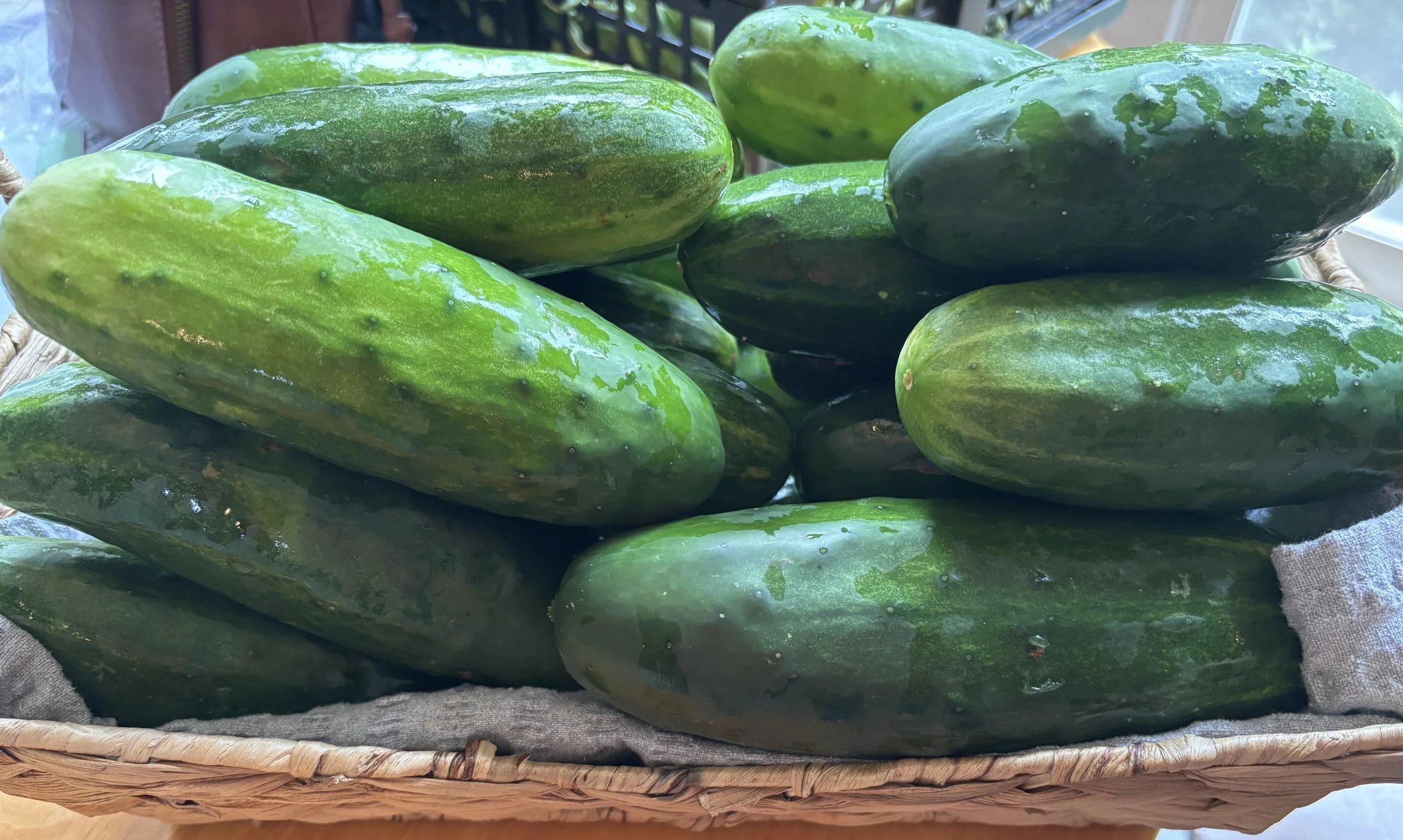 Cucumbers