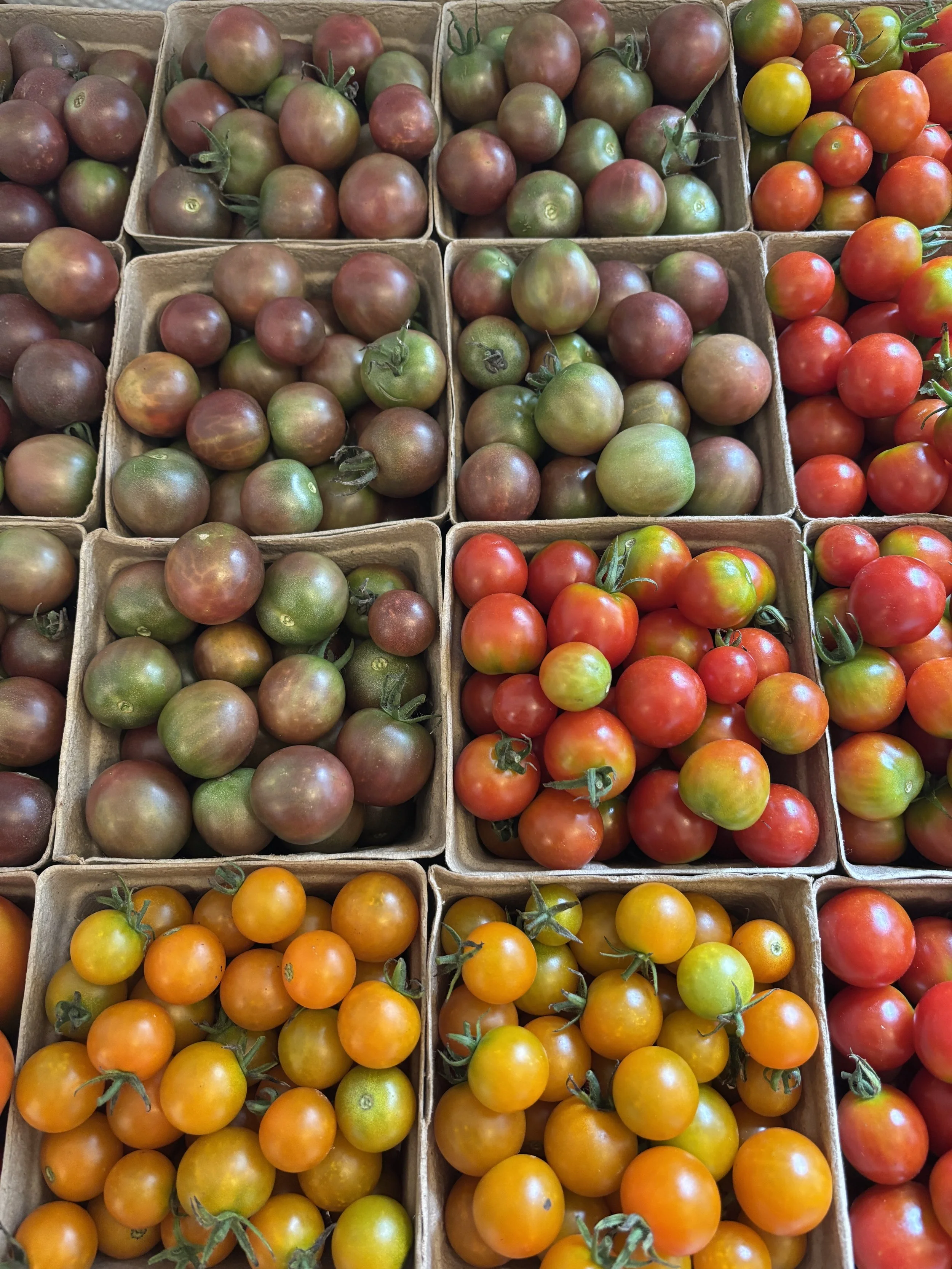 Cherry Tomatoes